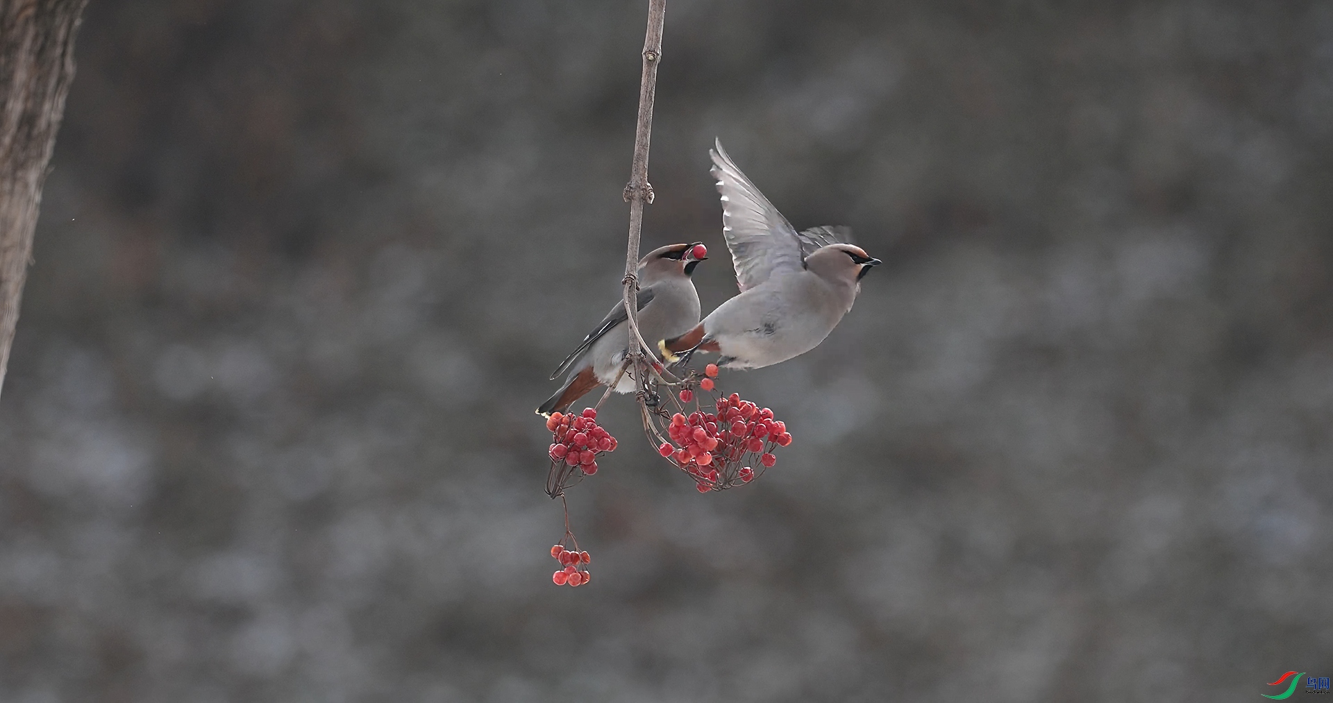 ��֡ 2026-03-20 165719_1.1.1.jpg