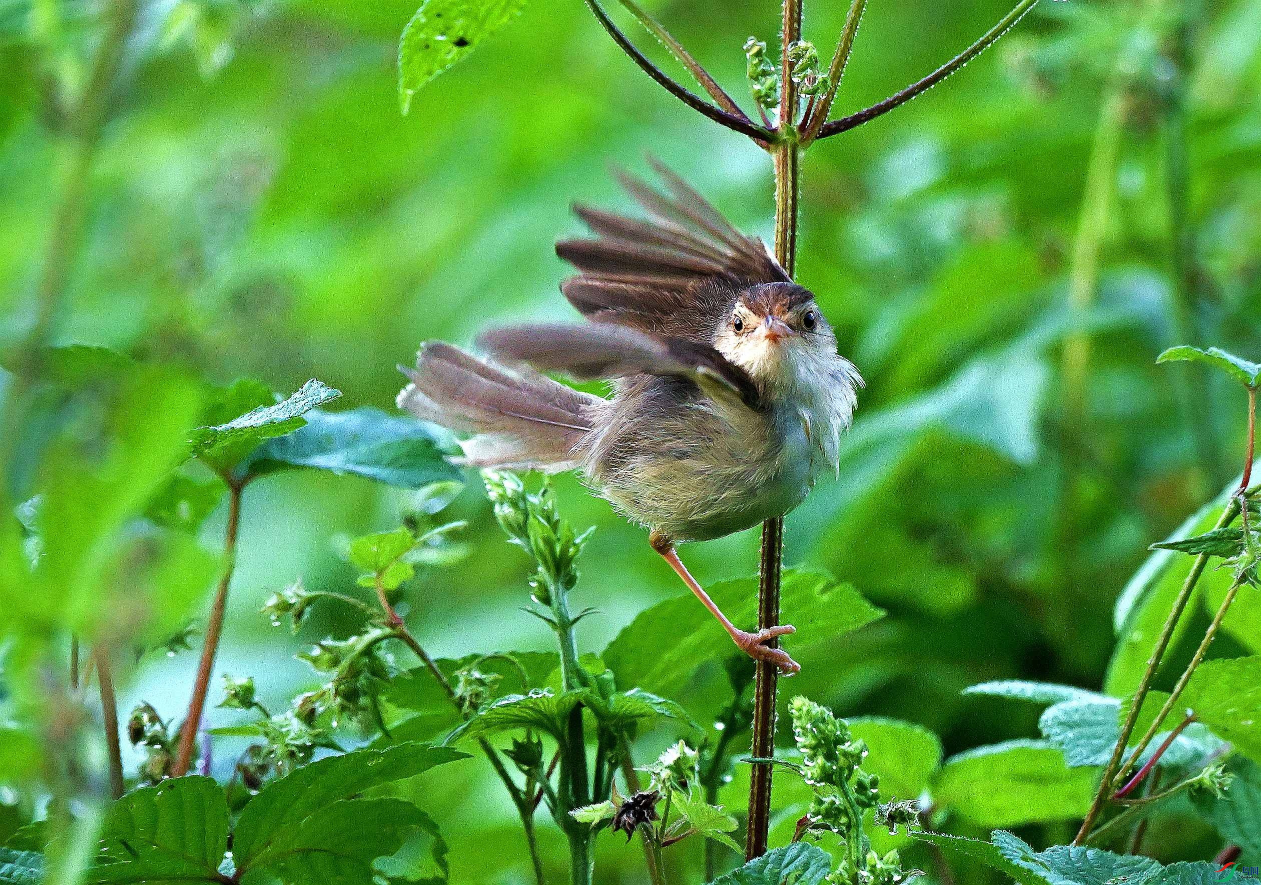 DSC_0391.JPG