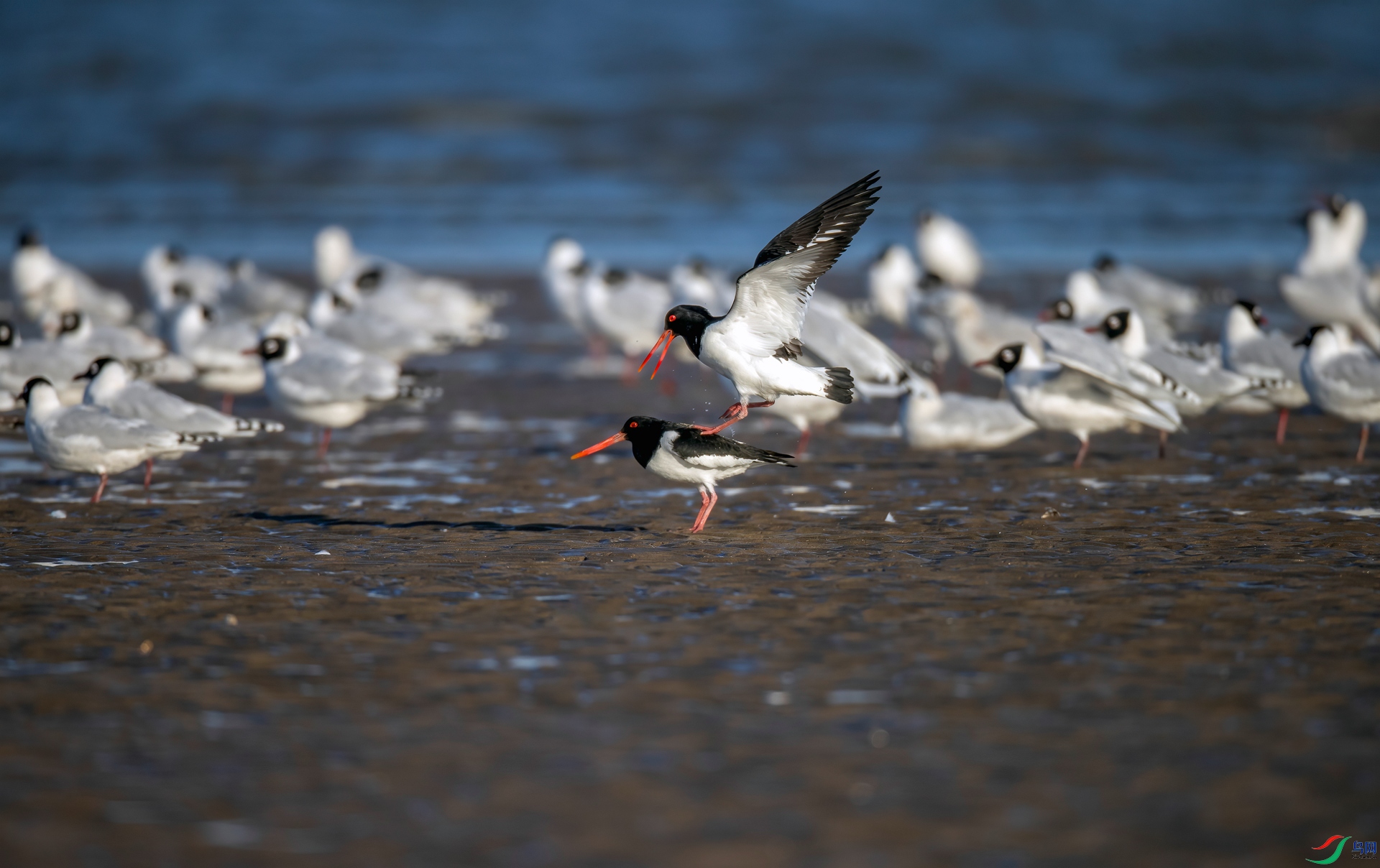 _L7I6946 ����_����.jpg