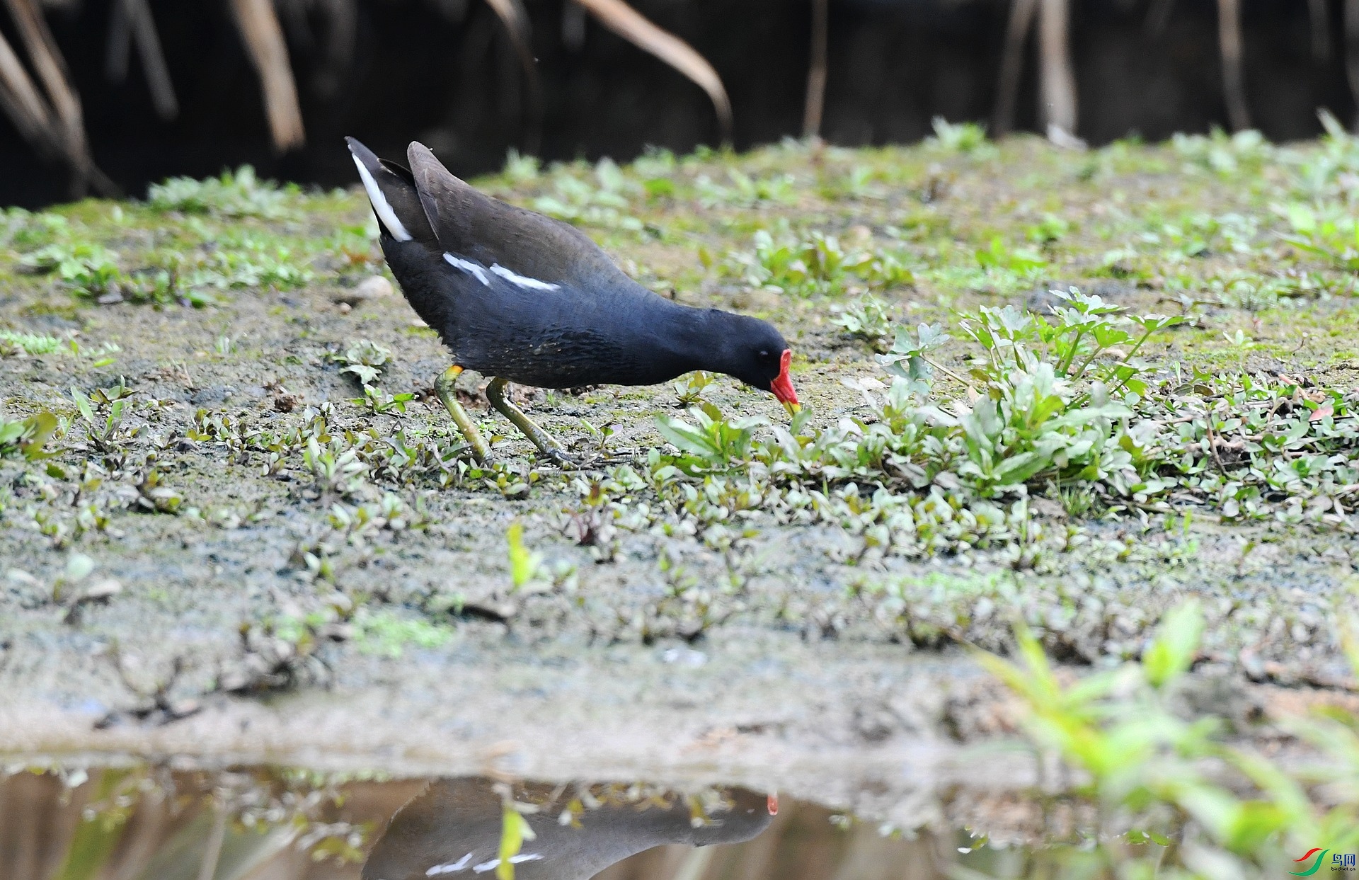 DSC_7105.jpg