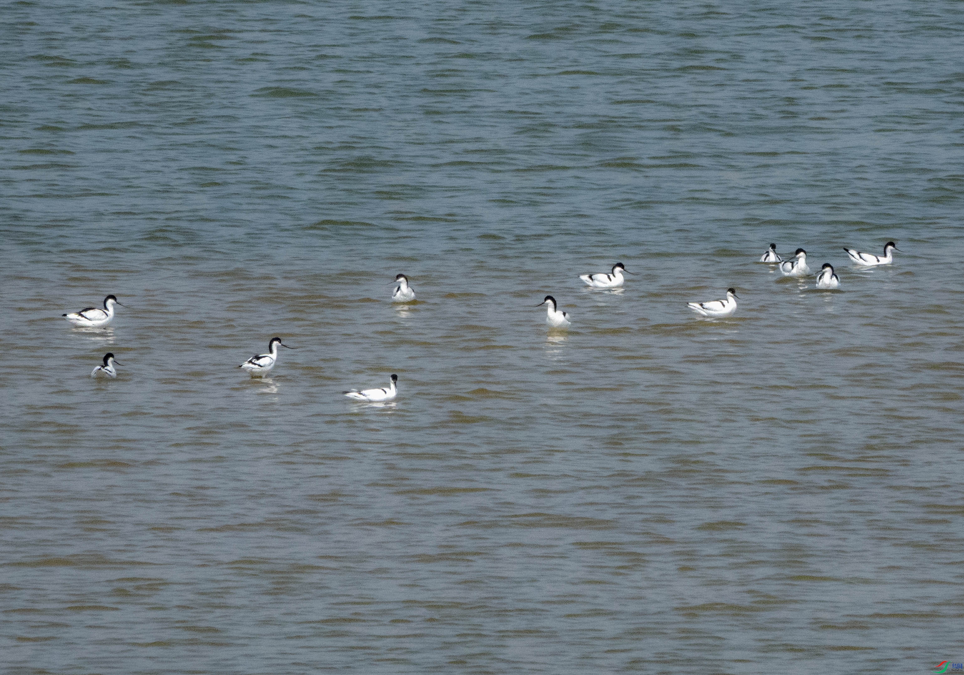 DSC04370 ����.jpg