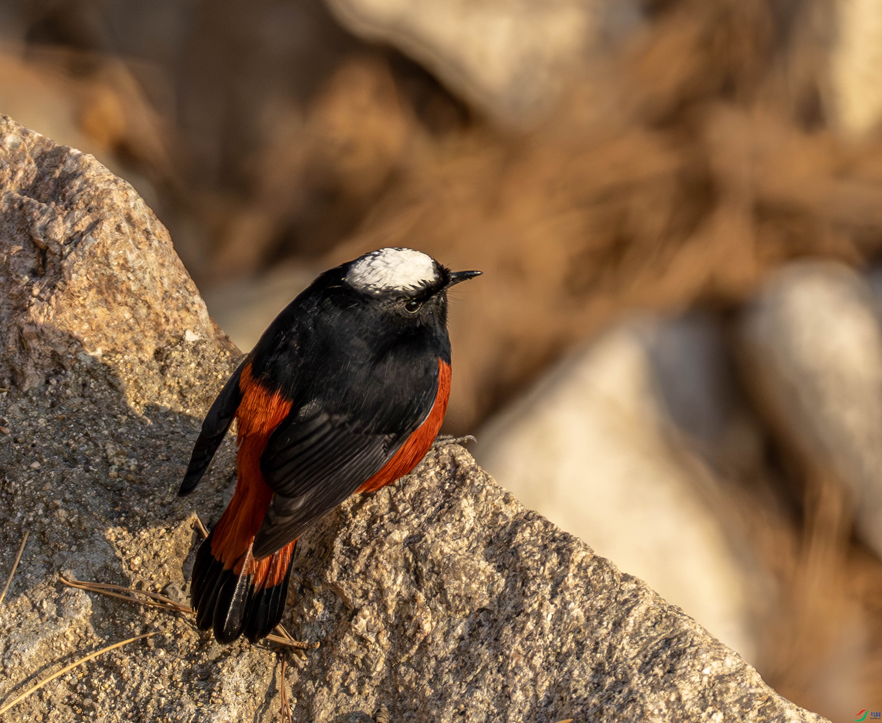 �׶�Ϫ�-01 (5 - 7).jpg