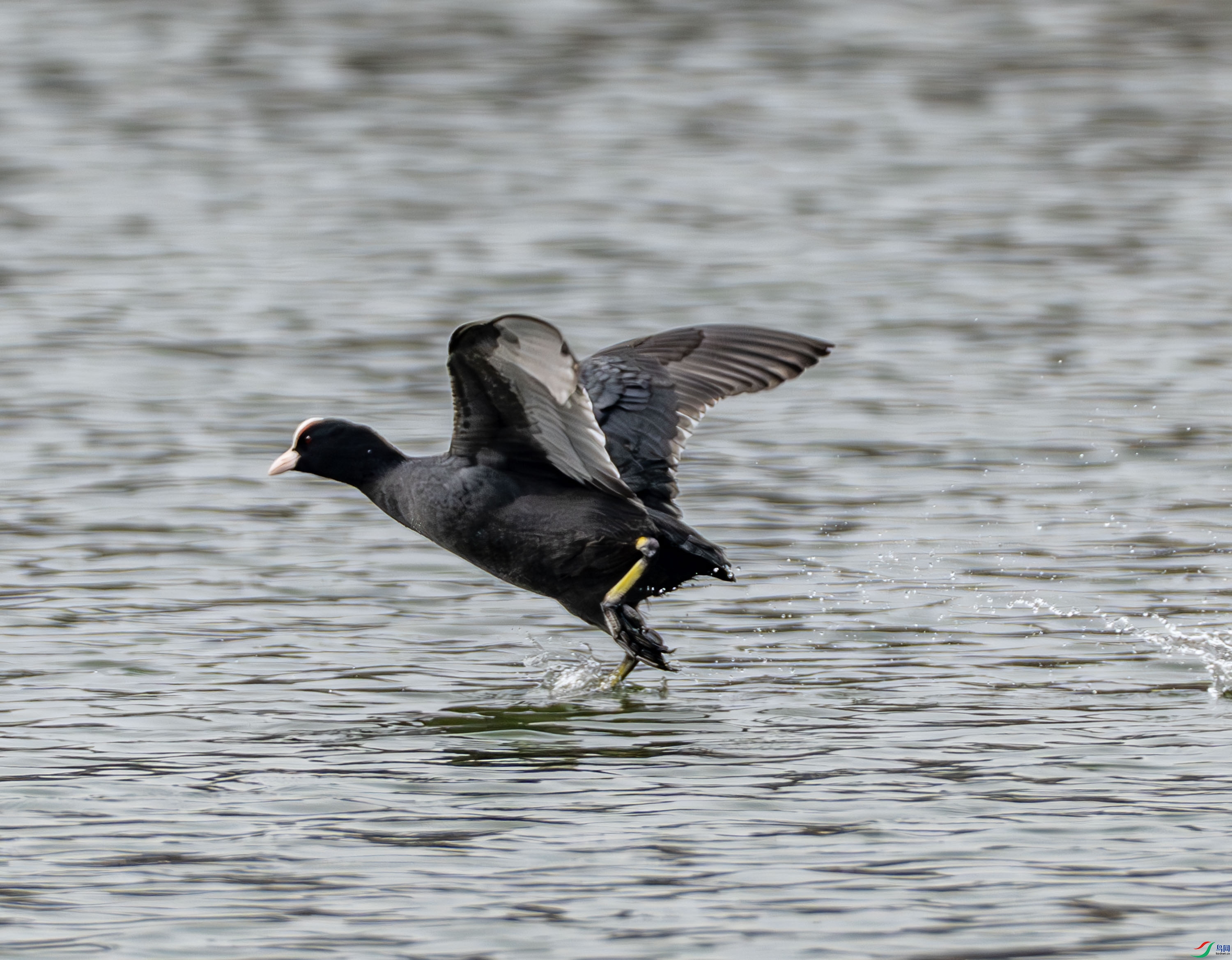 �׹Ƕ�-2 (31 - 34).jpg