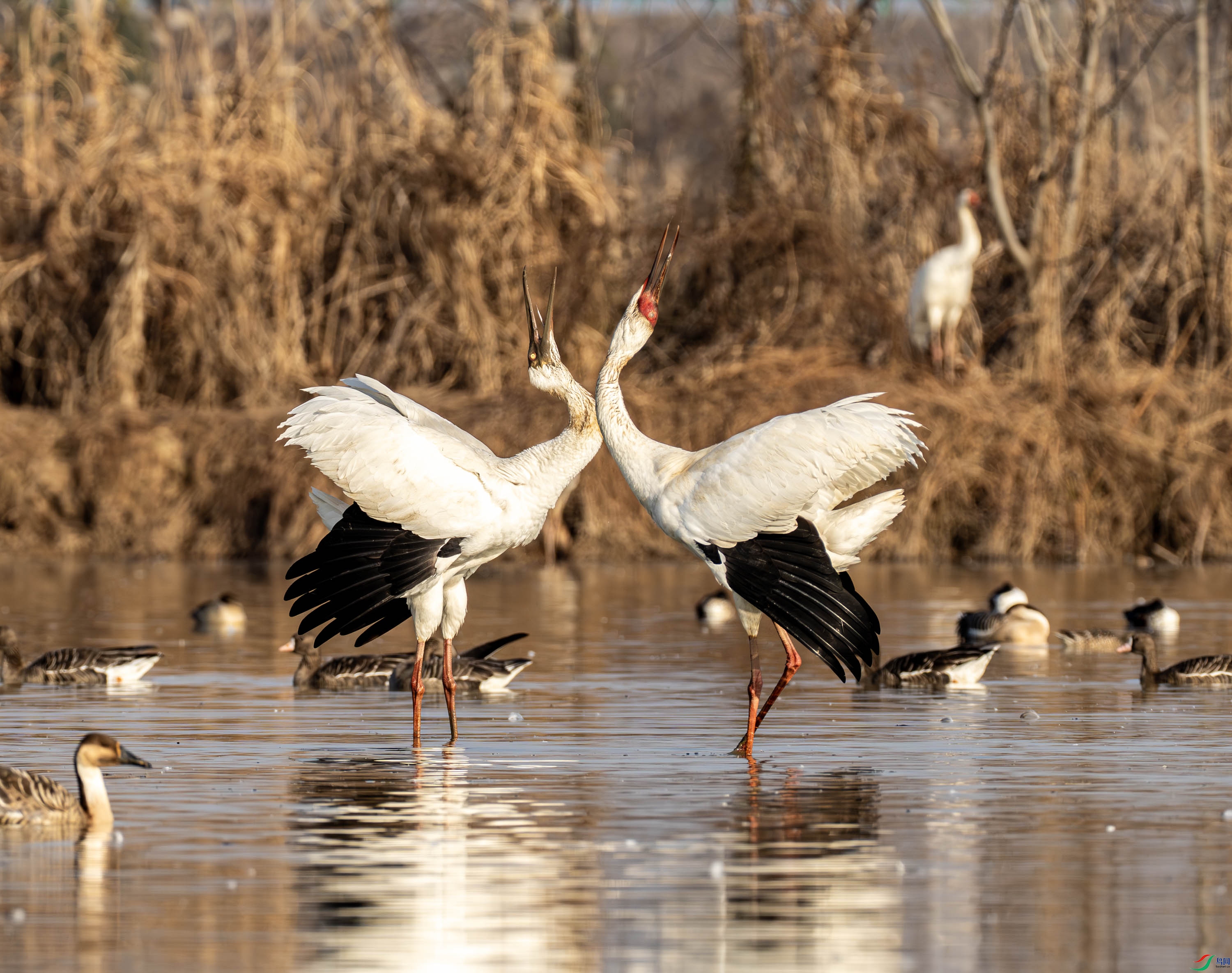 �׺�-01 (3 - 15).jpg