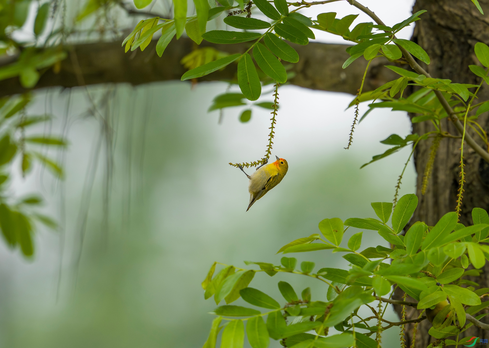 DSC01522 ����_����.jpg