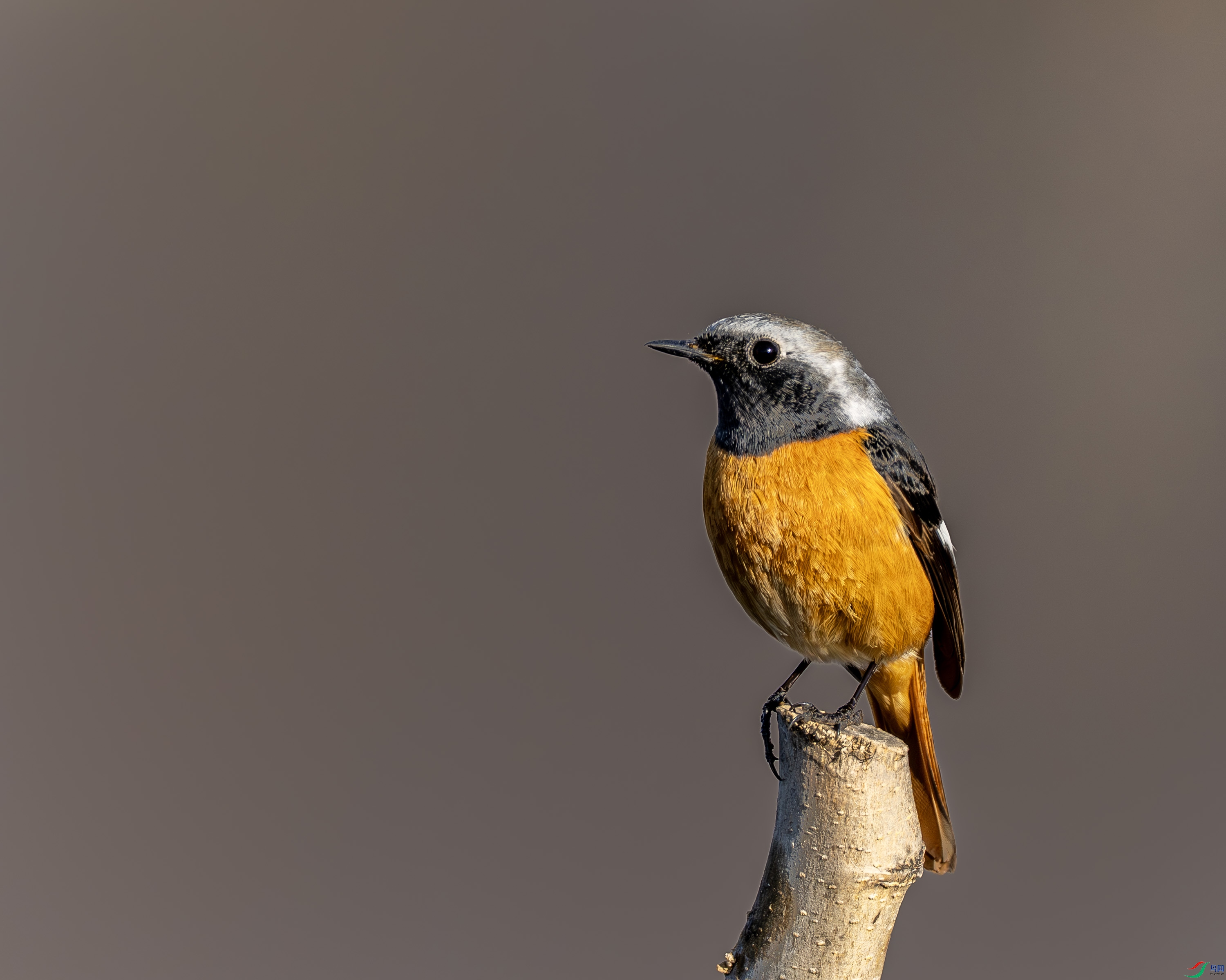 ����β�-01 (3 - 10).jpg