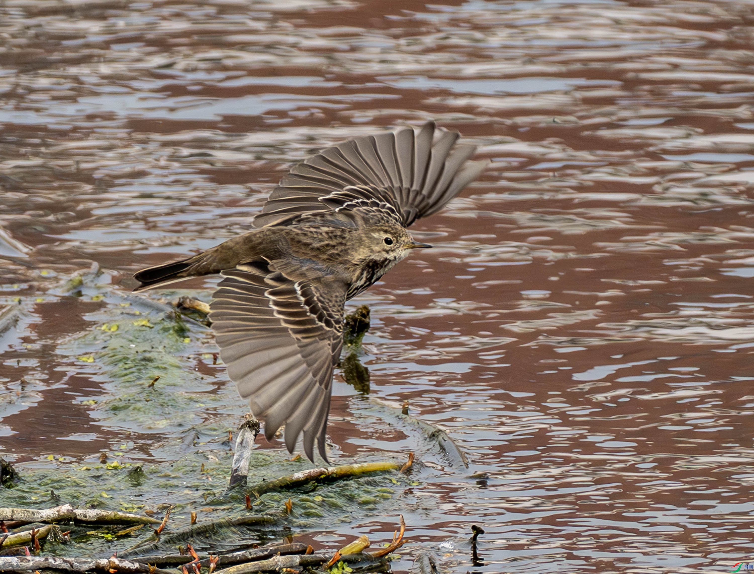 �ݵ��� (3 - 13).jpg