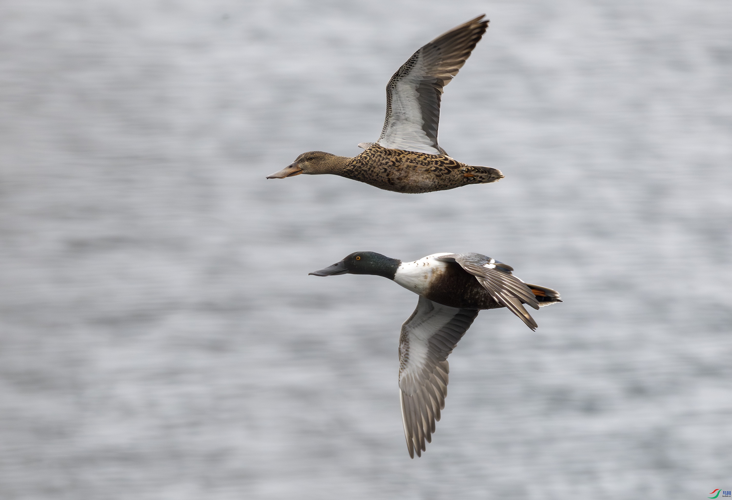 G47A1439-����ǿ-NR ����.jpg