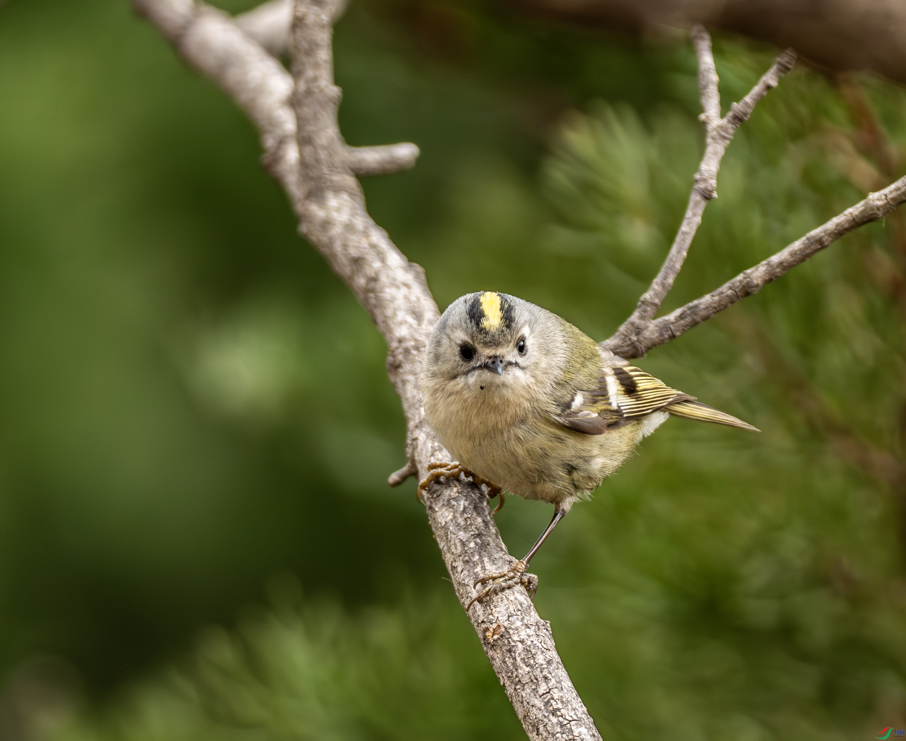 ����-01 (3 - 9).jpg