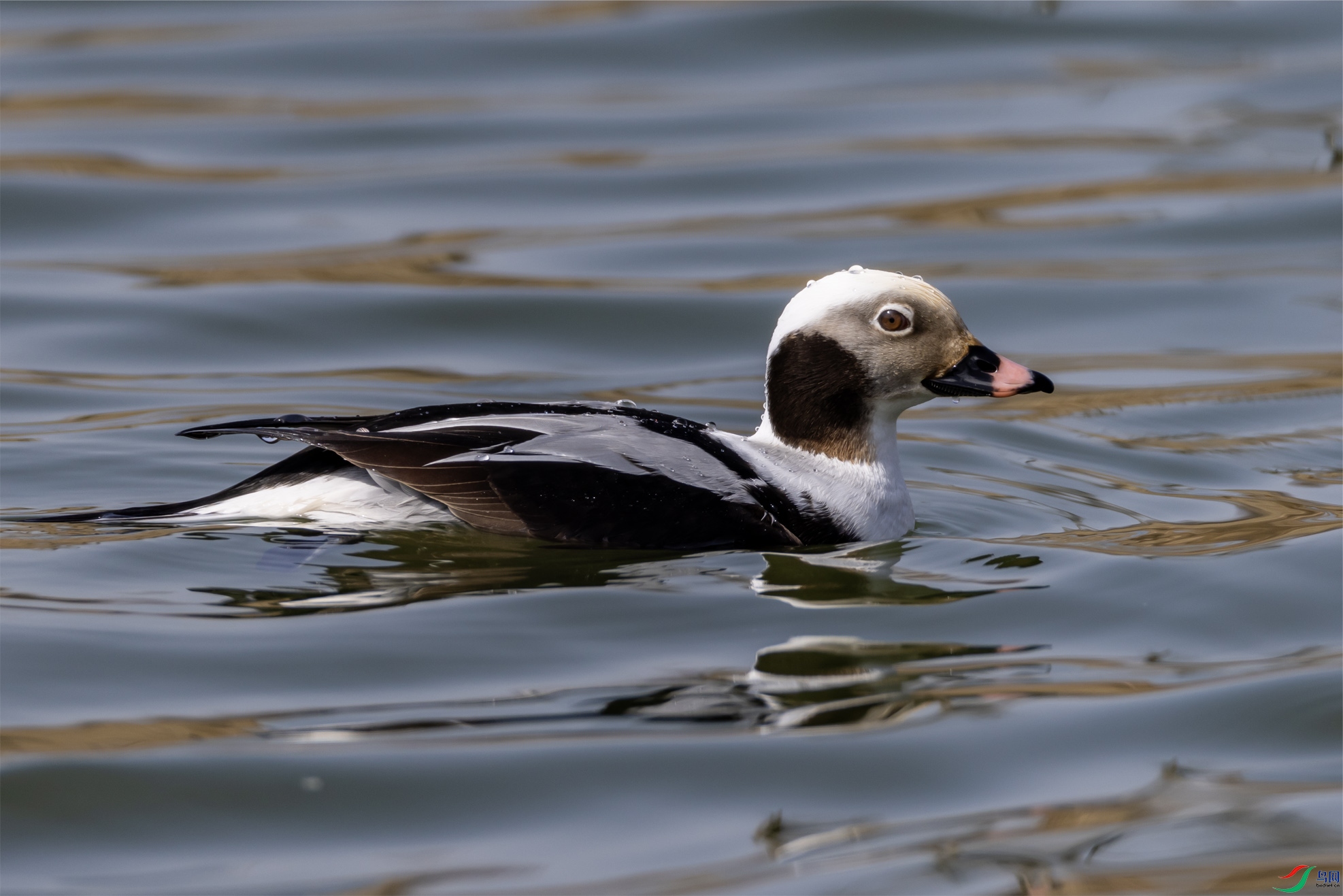 4K2A7071 ��βѼ001.jpg