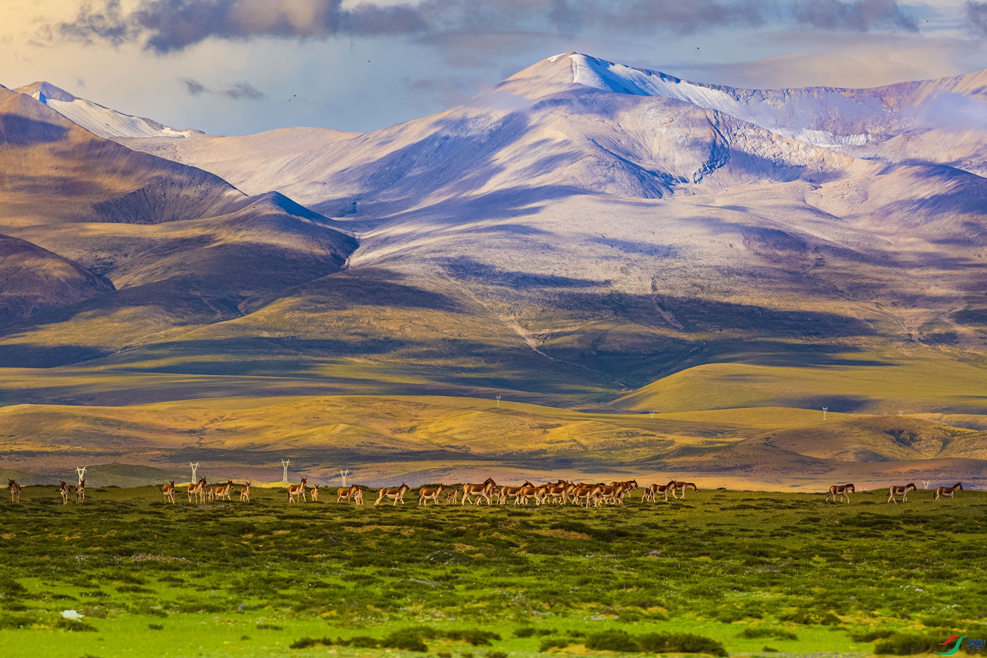 1J9A8672 ����.jpg