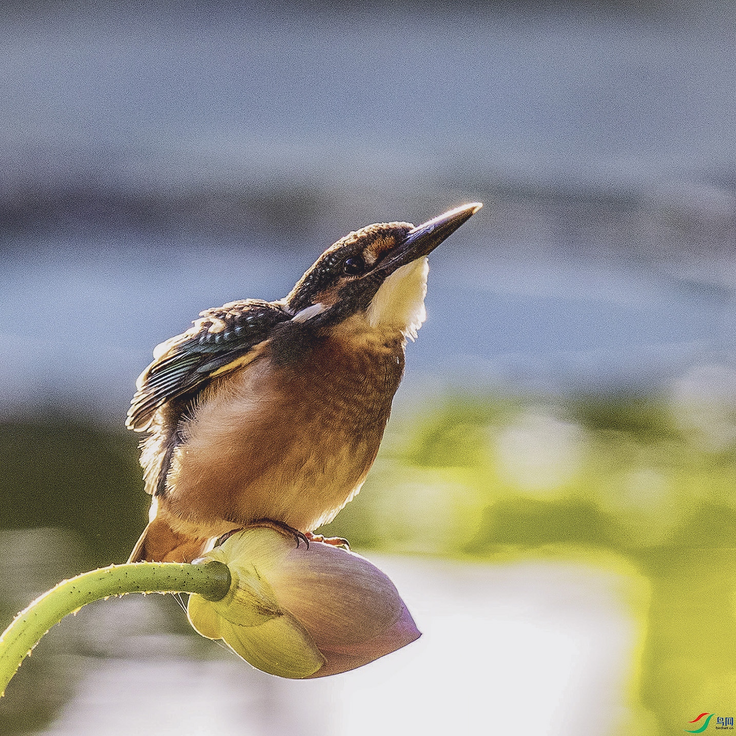 _90I3106 ���� 4.jpg