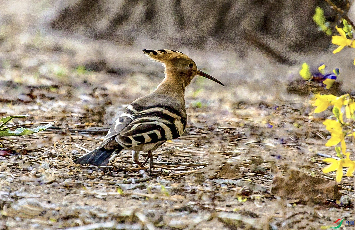 _MG_2093 ���� 4.jpg