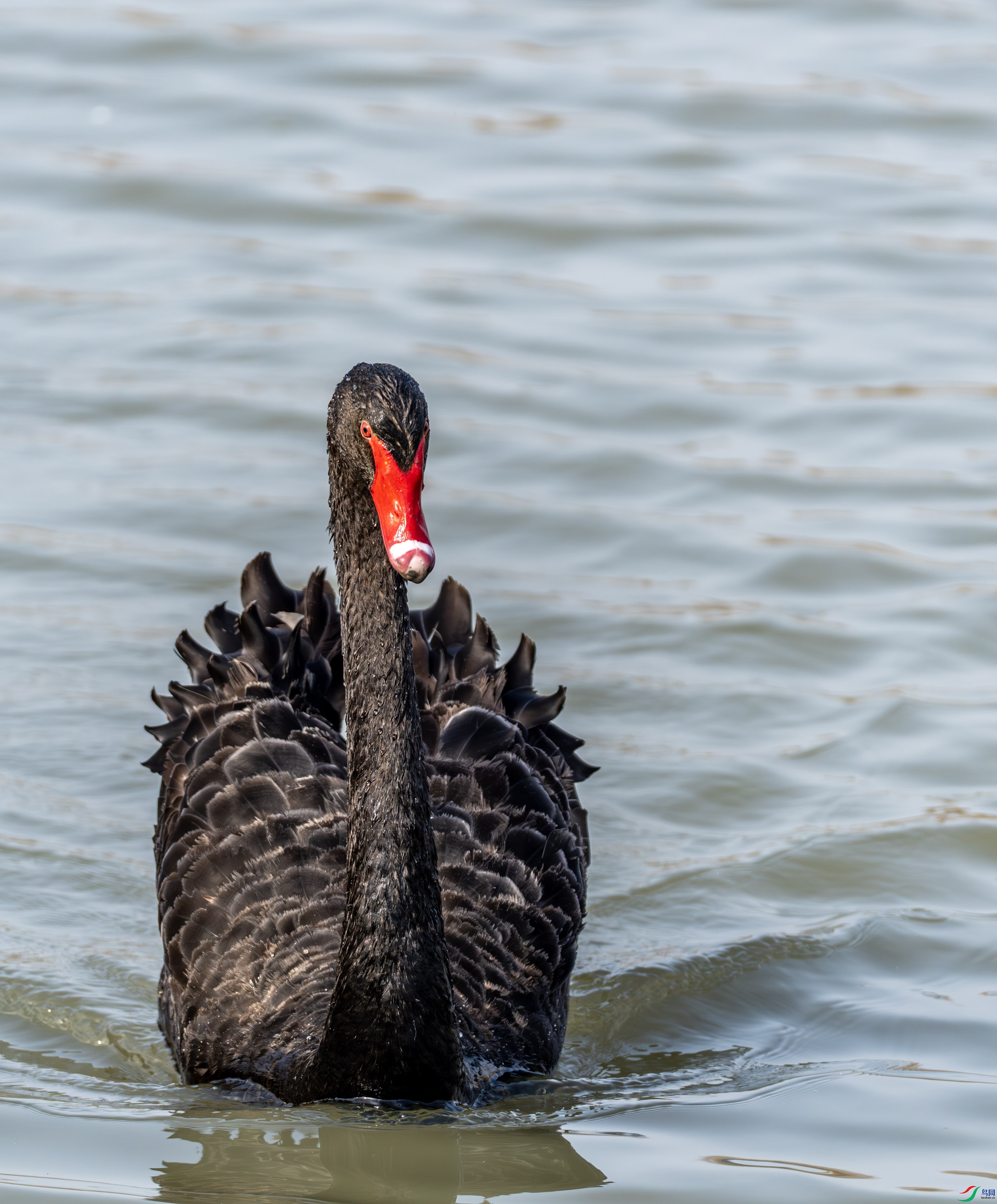 �����-01 (4 - 6).jpg