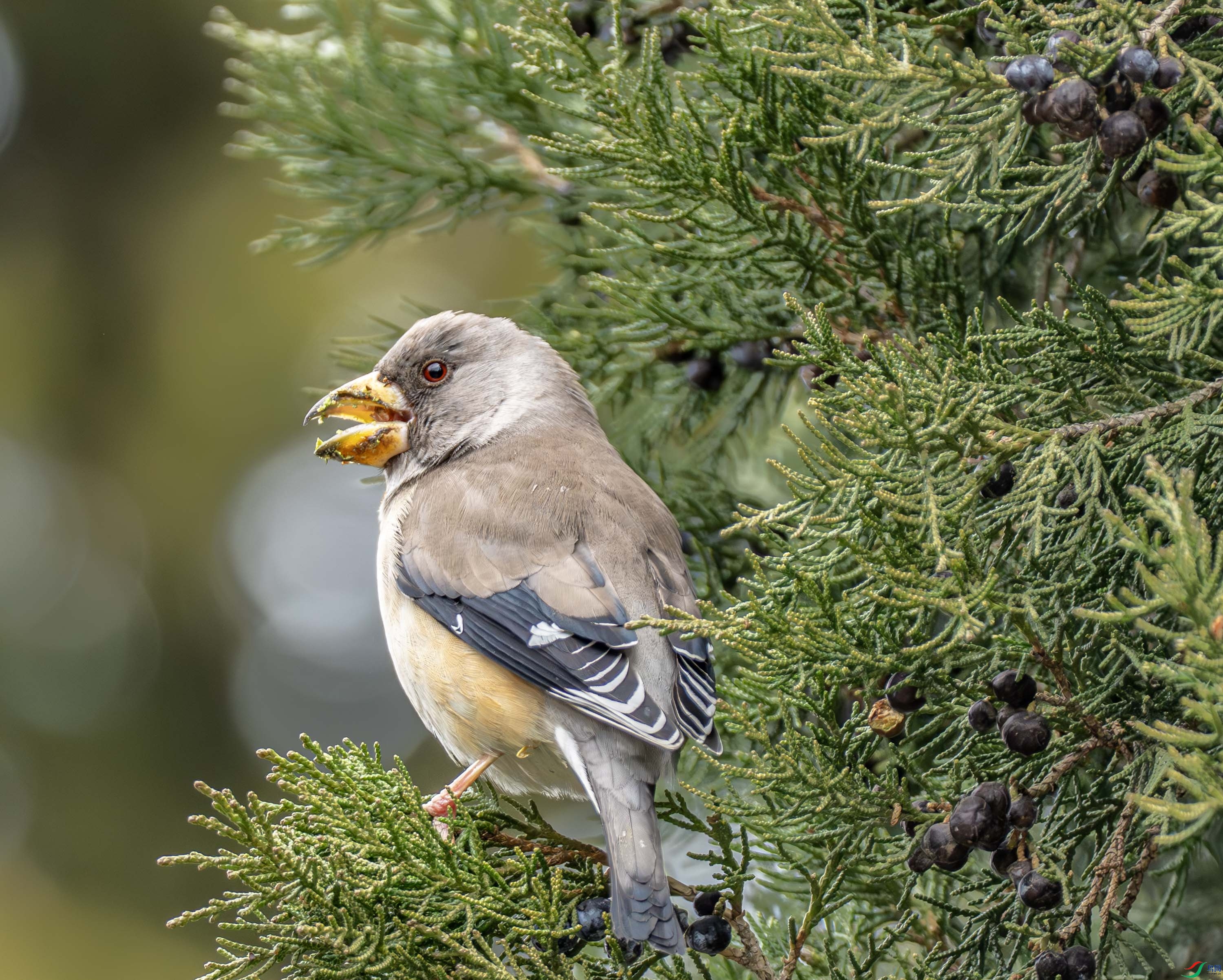 ��β����ȸ-01 (5 - 8).jpg