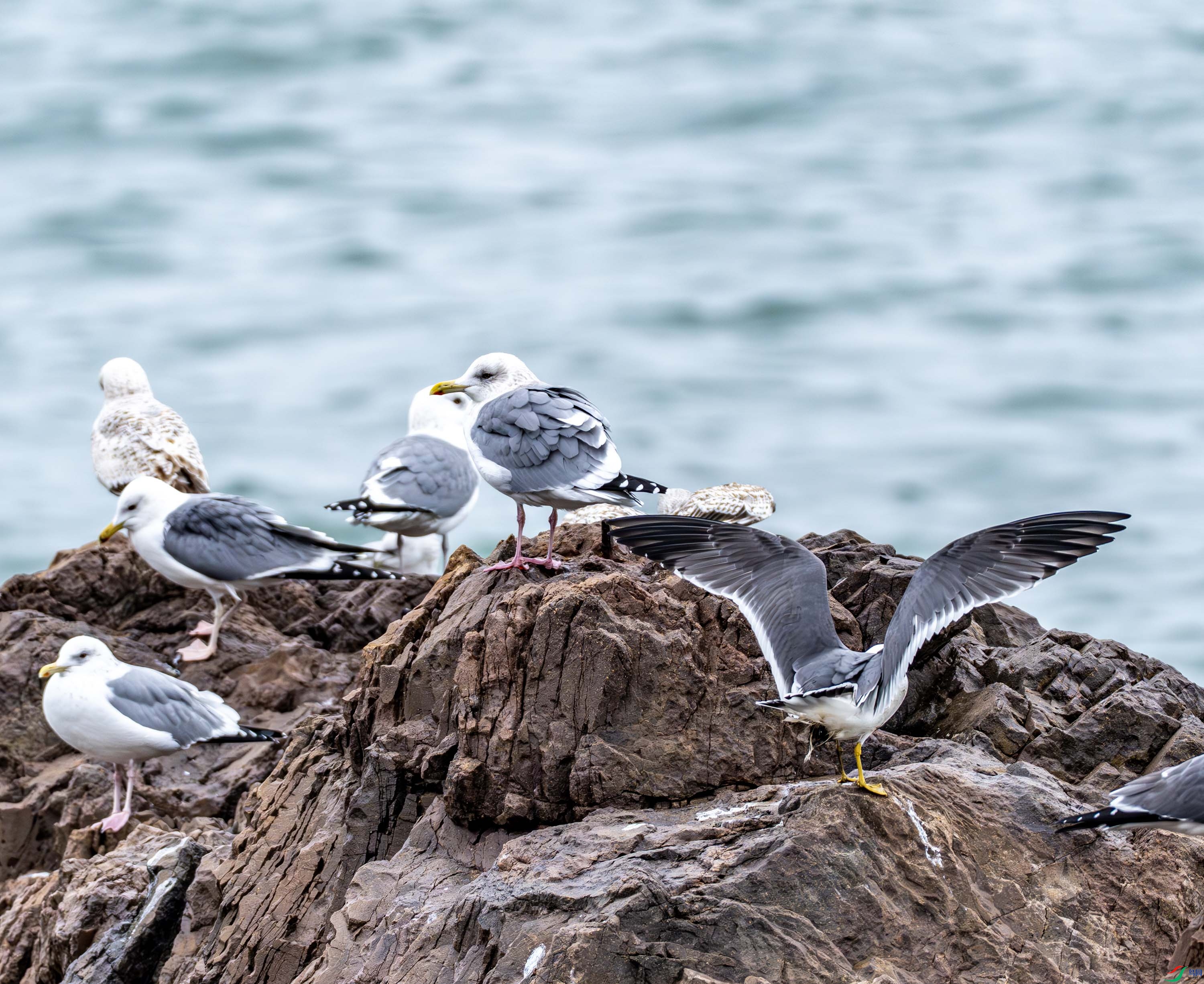 ��βŸ-02 (5 - 5).jpg