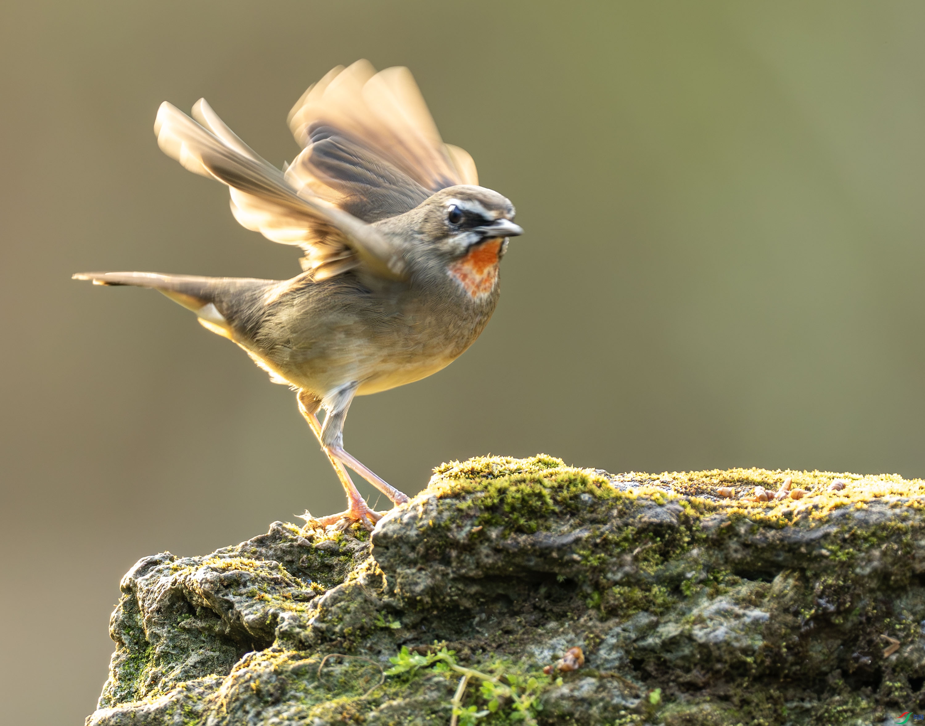 ������-01-13-2 (2).jpg