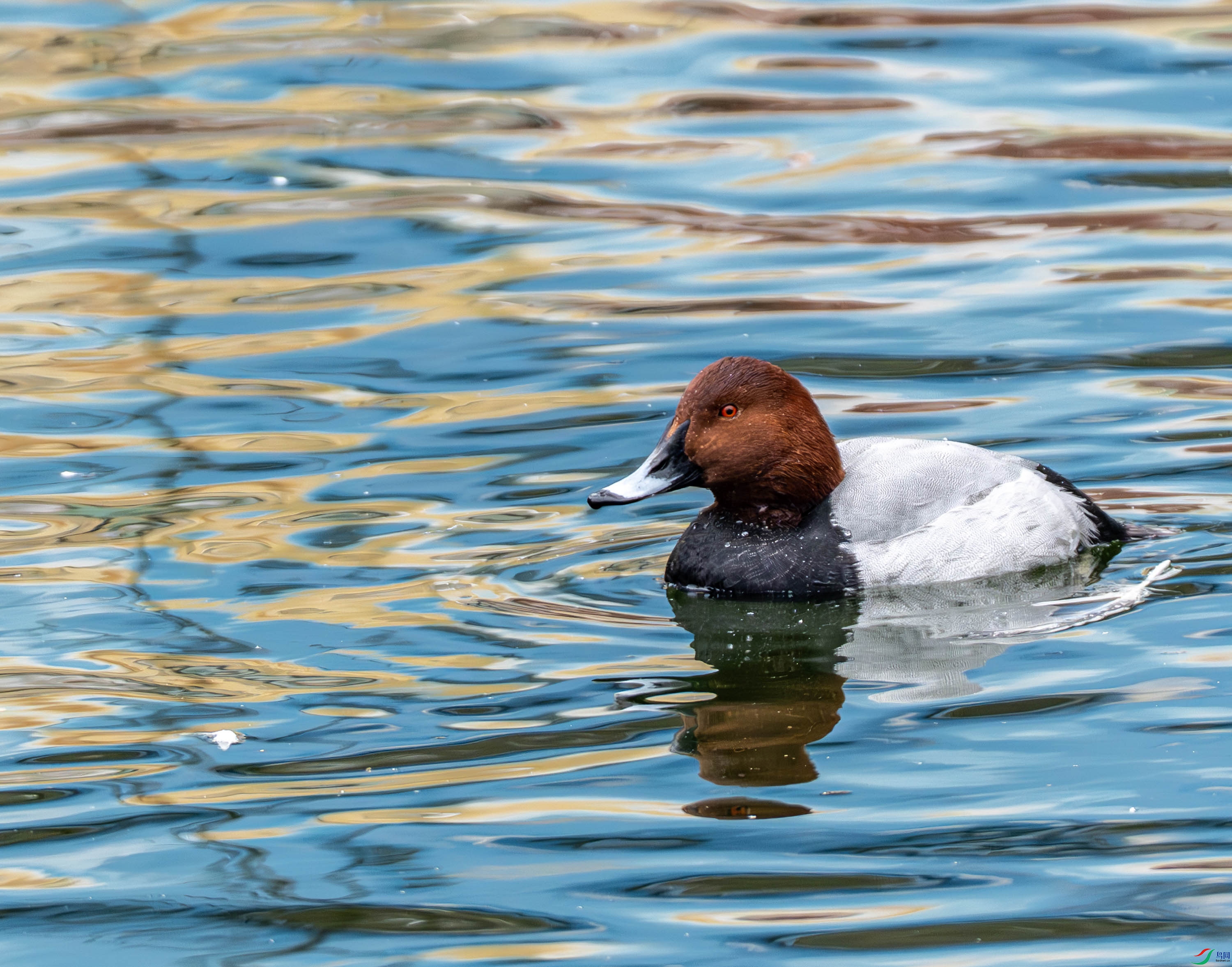 ��ͷǱѼ-01 (5 - 9).jpg