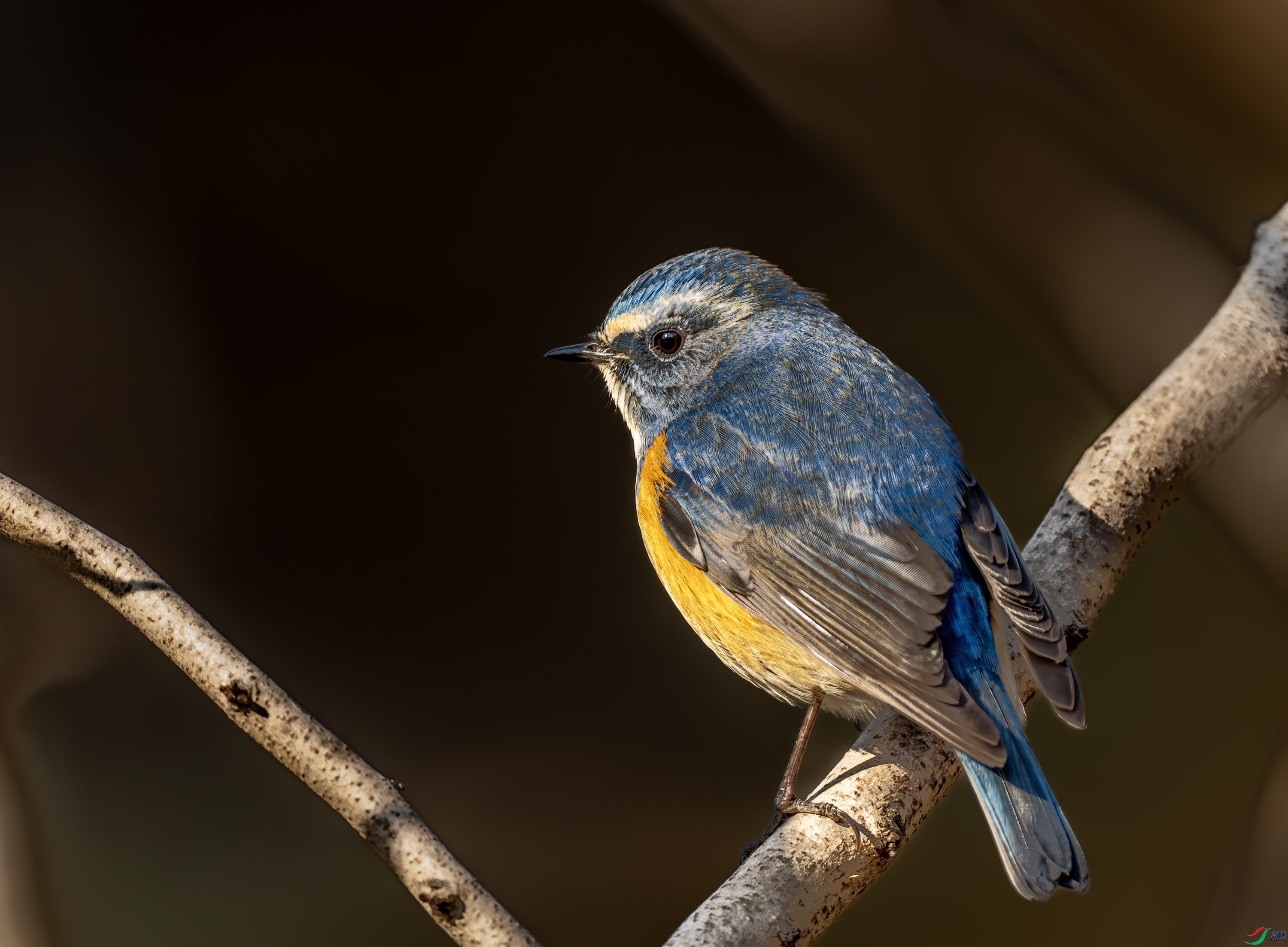 ��в��β�-01 (5 - 7).jpg