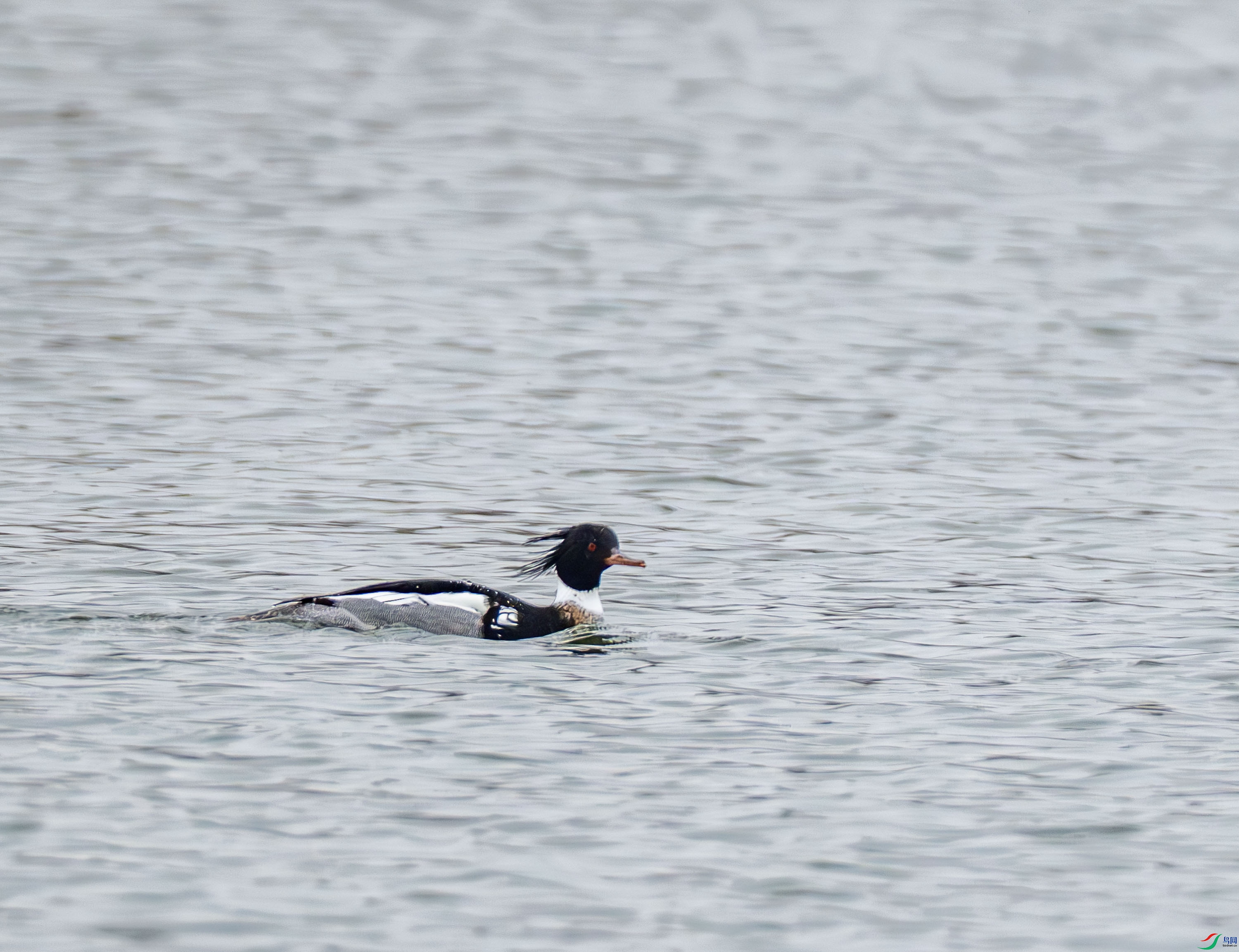 ������ɳѼ-01 (4 - 4).jpg