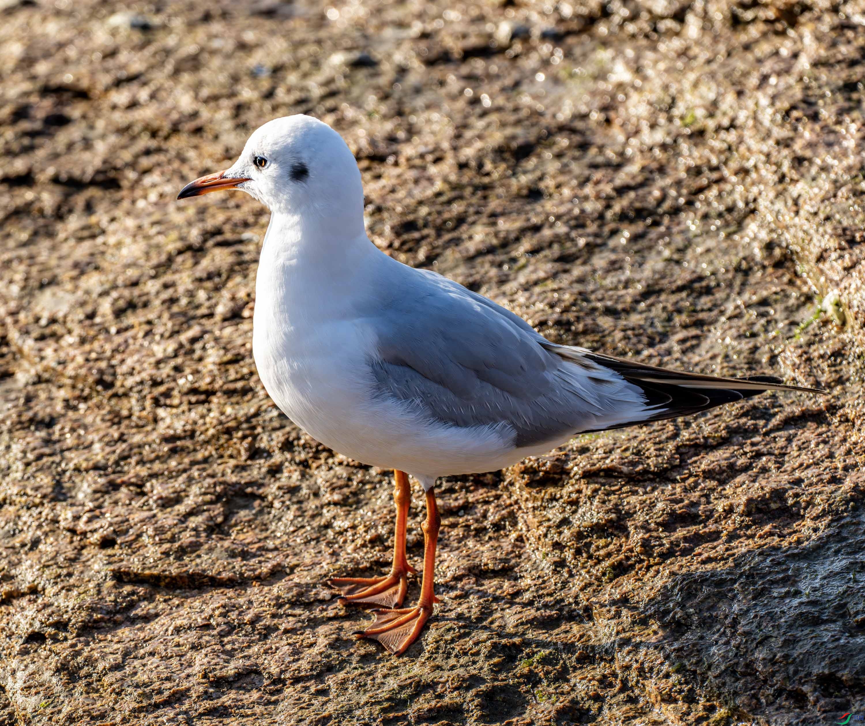 ����Ÿ-01 (1 - 4).jpg