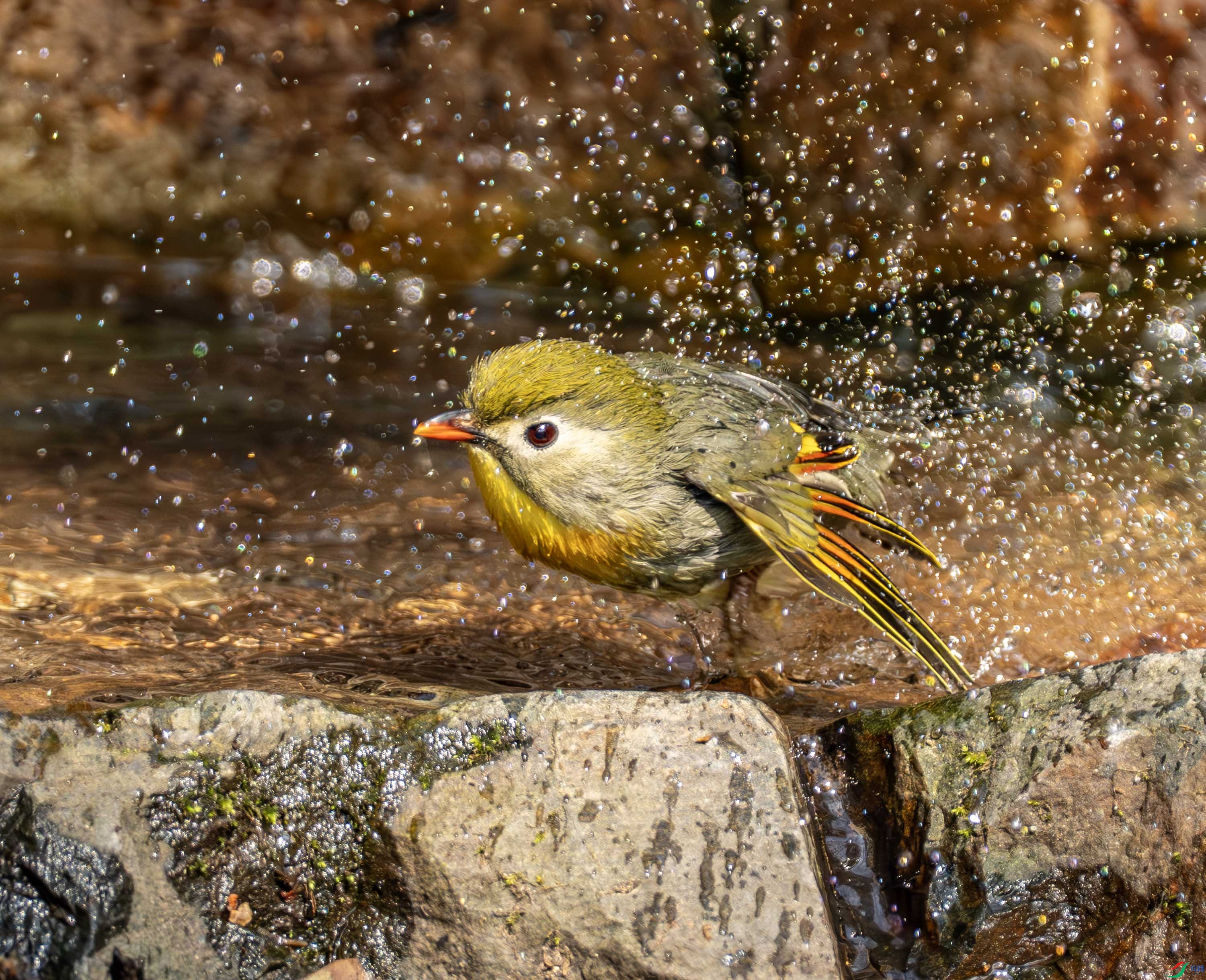 ������˼��-1 (2 - 44).jpg