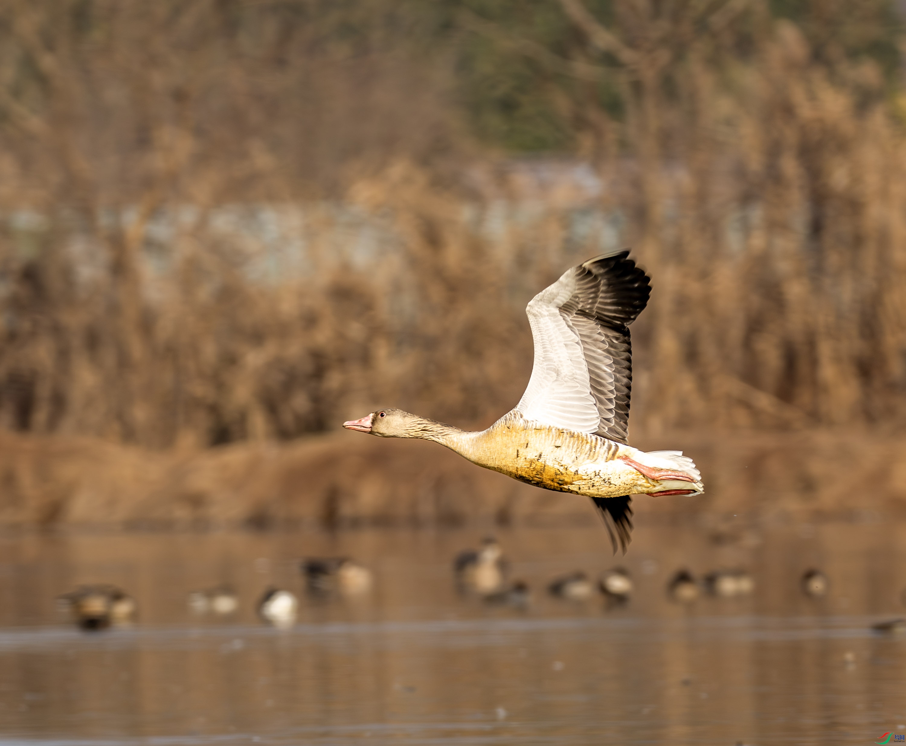 ����-03 (5 - 8).jpg