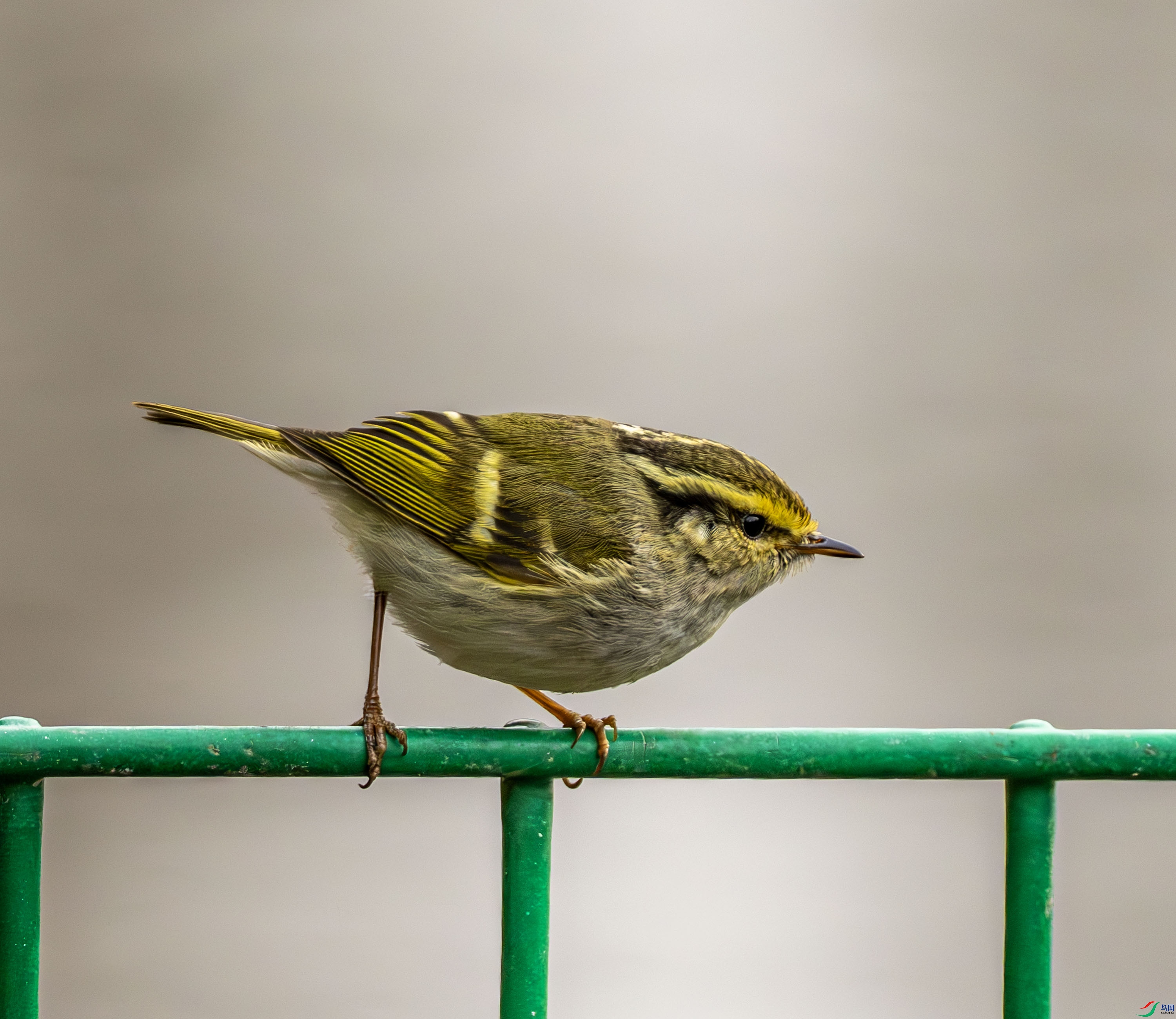 ������ݺ-01 (3 - 7).jpg