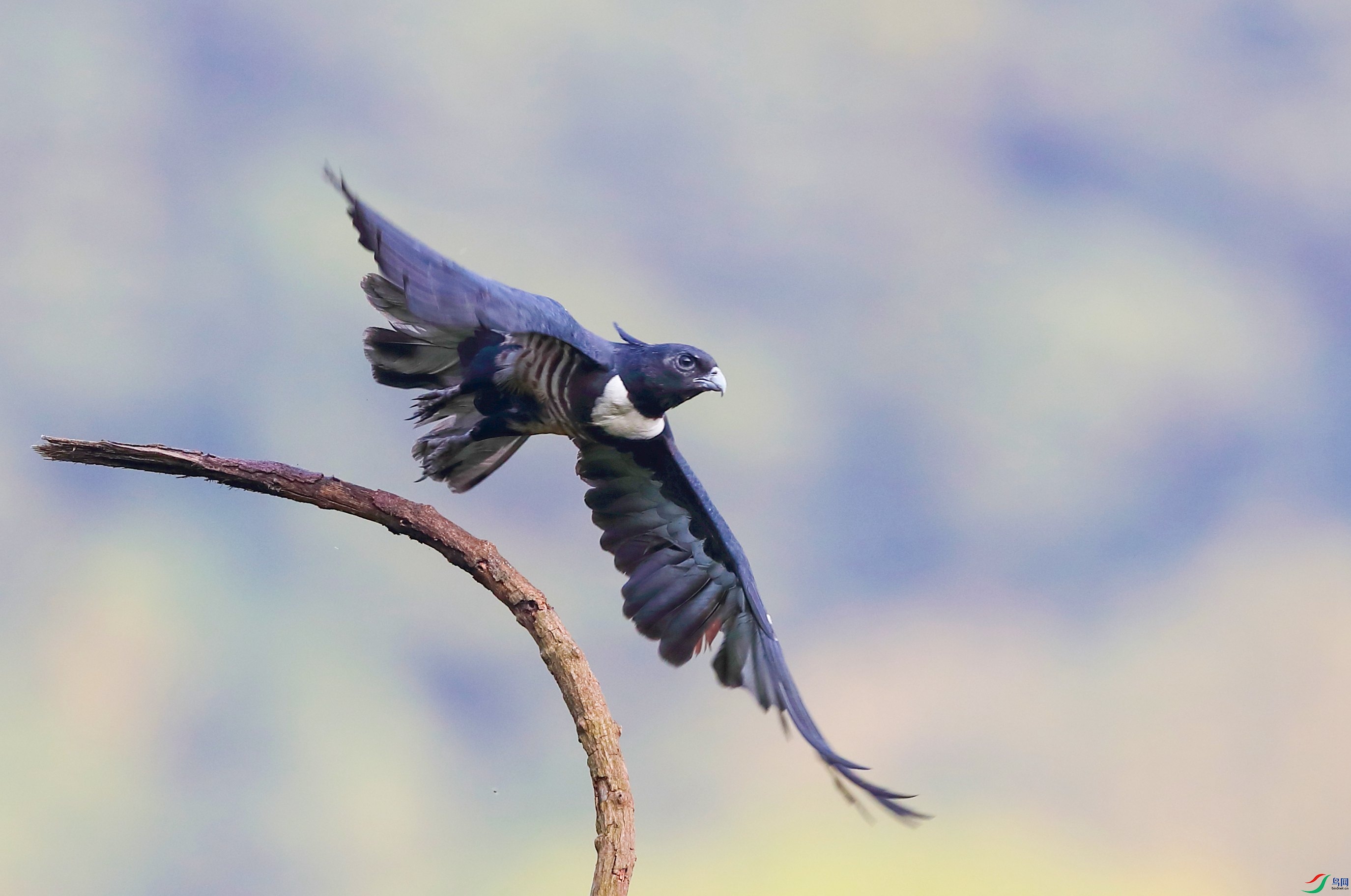 �ڹھ��� (2).JPG