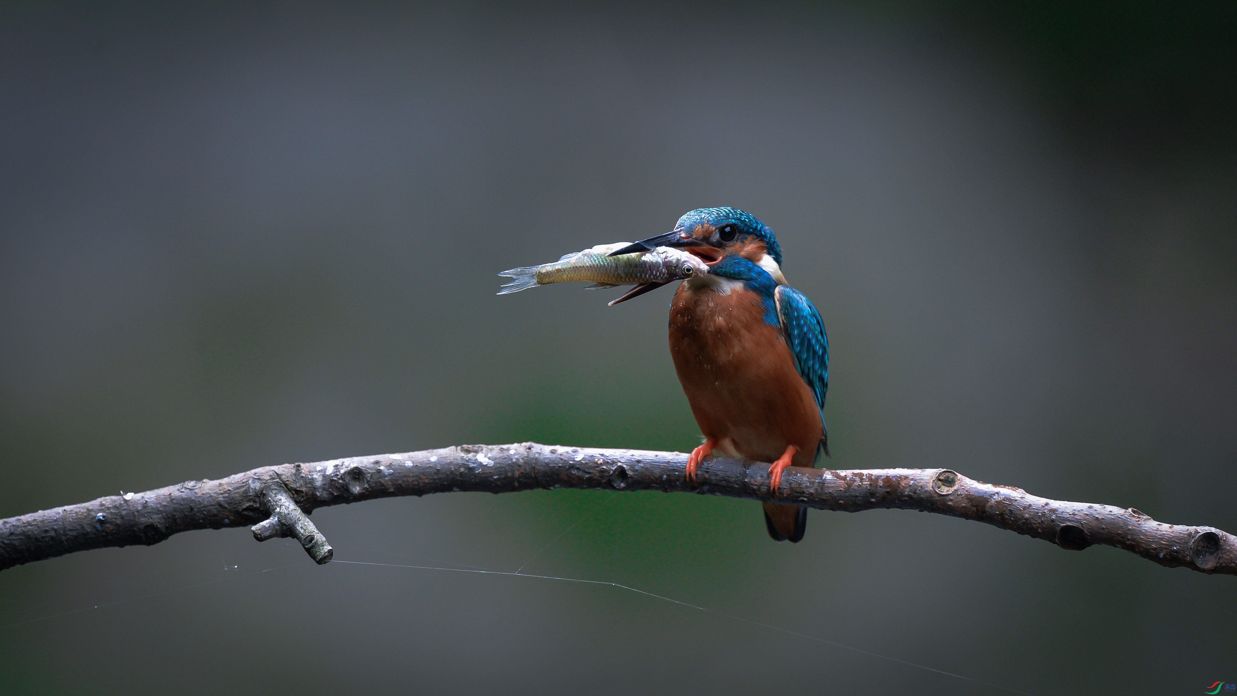 DSC_7428.jpg