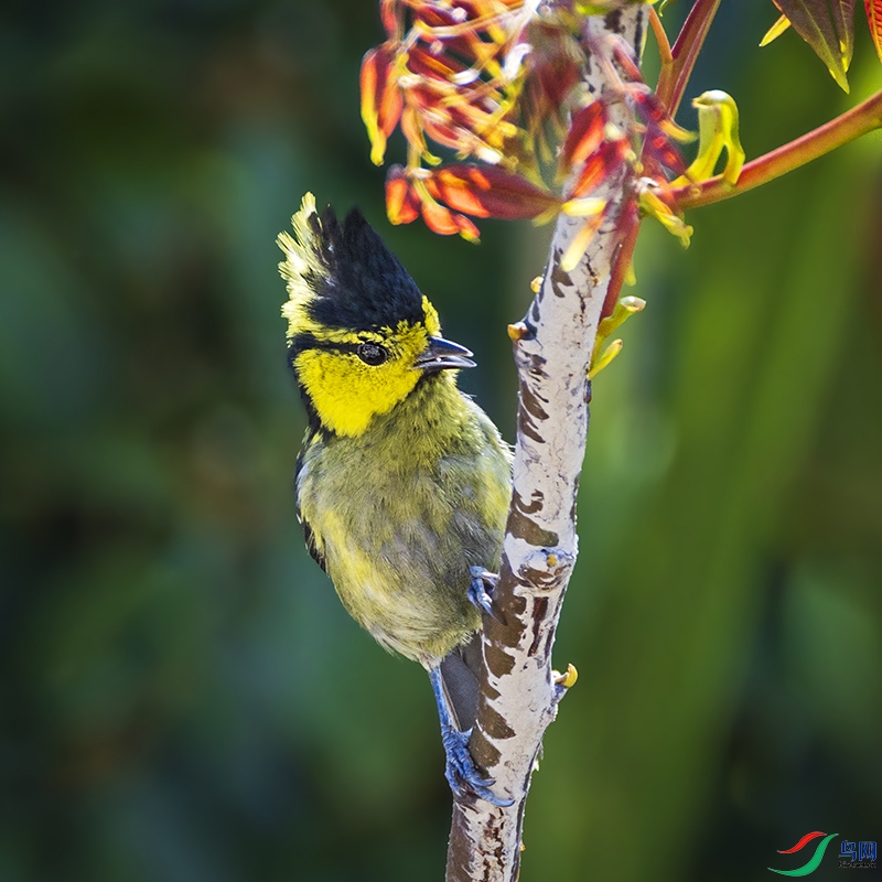 _B3A5037�Ƽ�ɽȸ-��ʳ ����.jpg