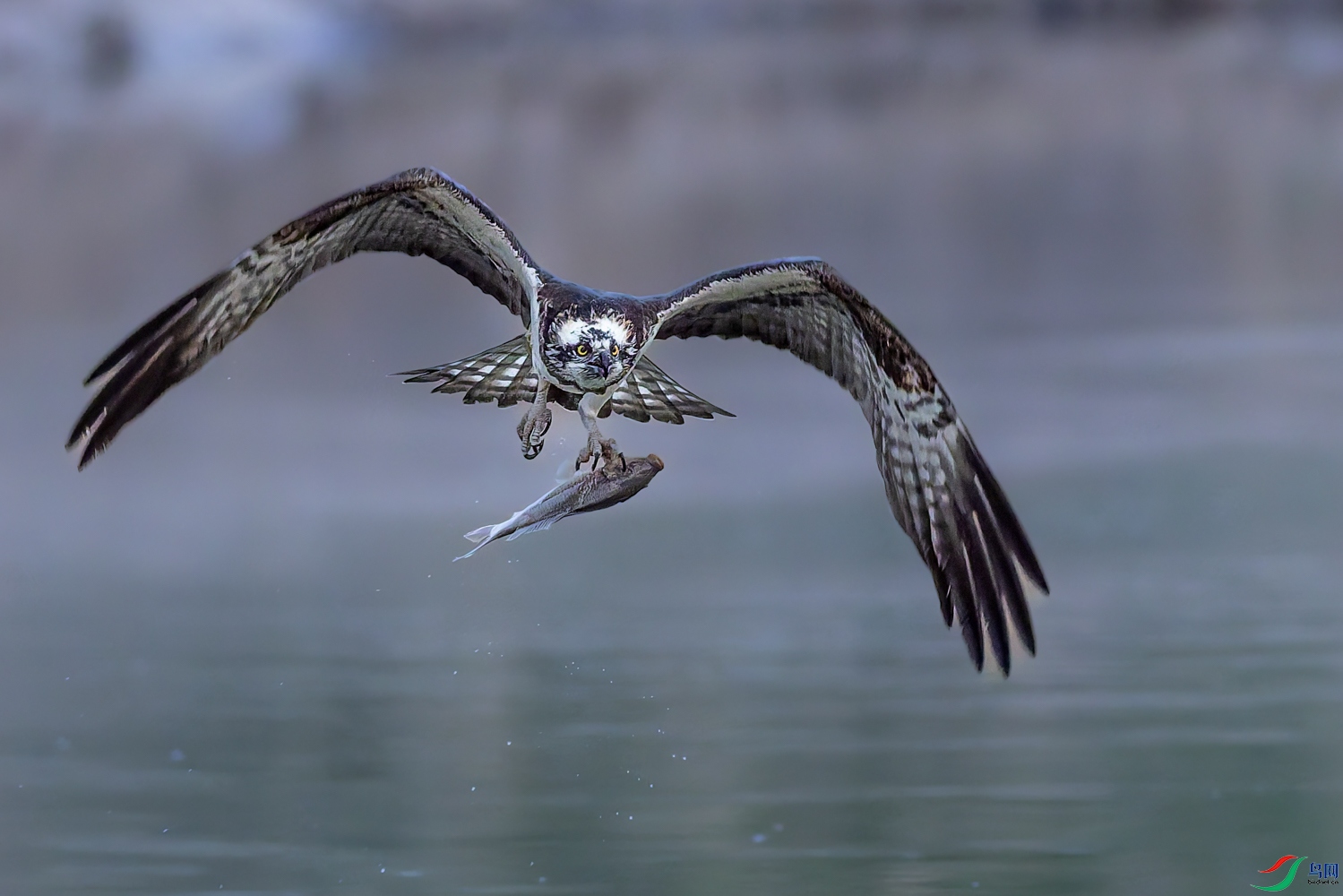 _P4A0079-DxO_DeepPRIME 3.jpg