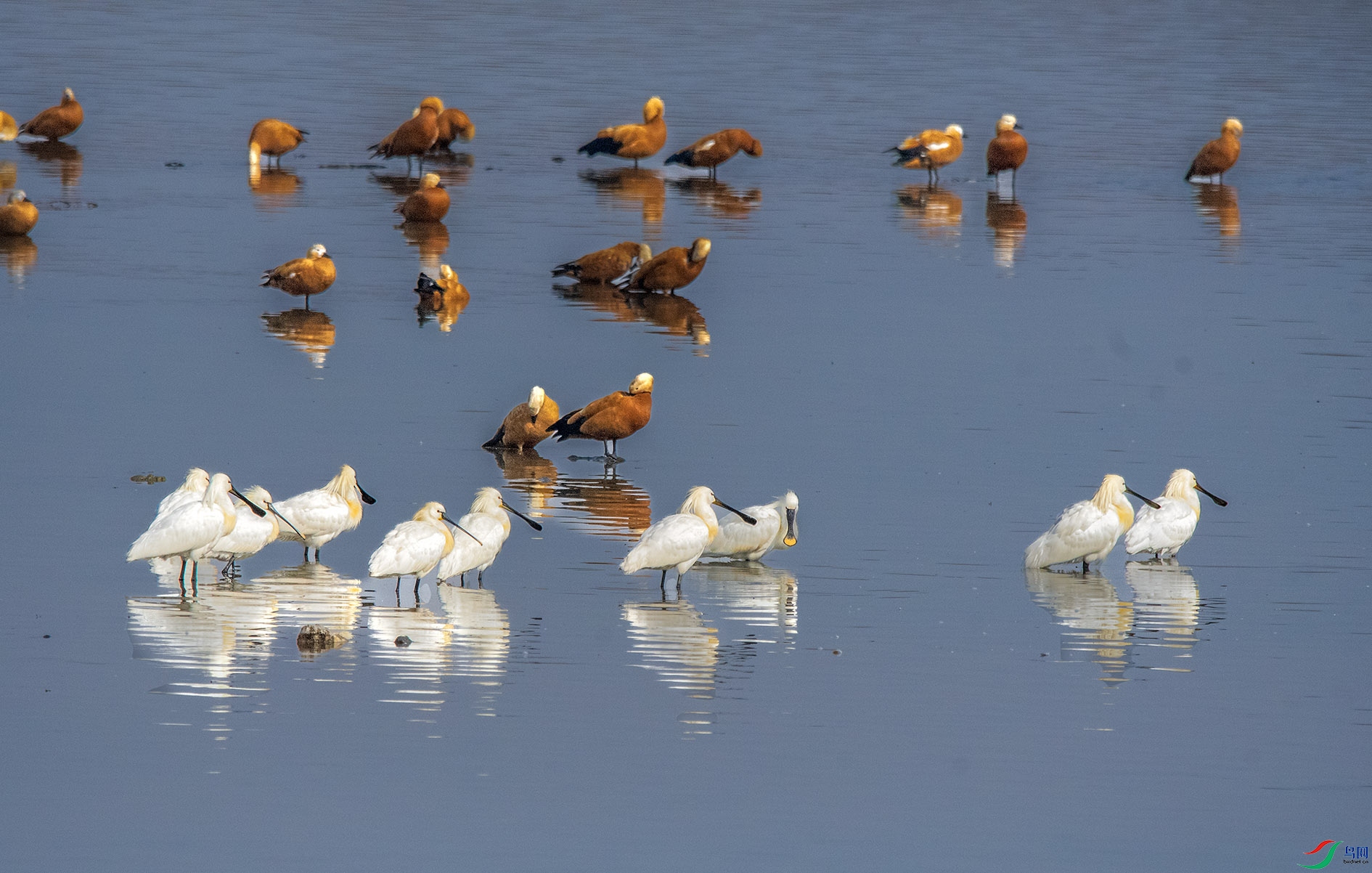 DSC_0233_��ͼ�� ����.jpg