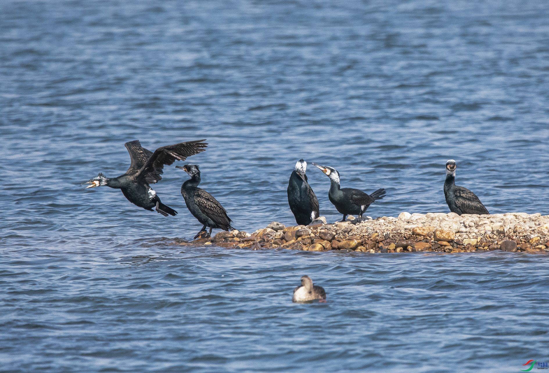 DSC_9422_��ͼ�� ����.jpg