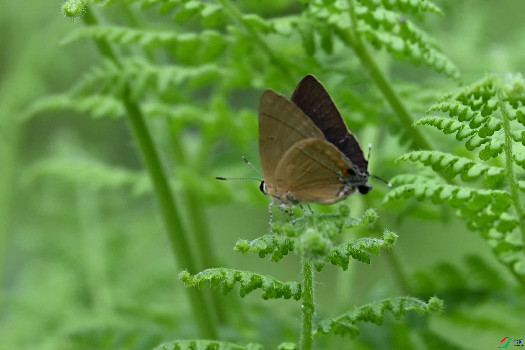 DSC_2895.JPG