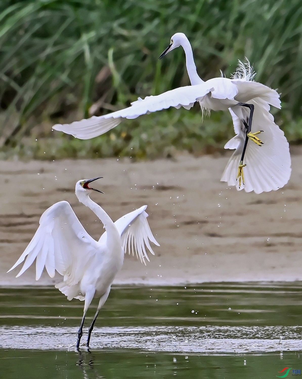 DSC_3234��.jpg