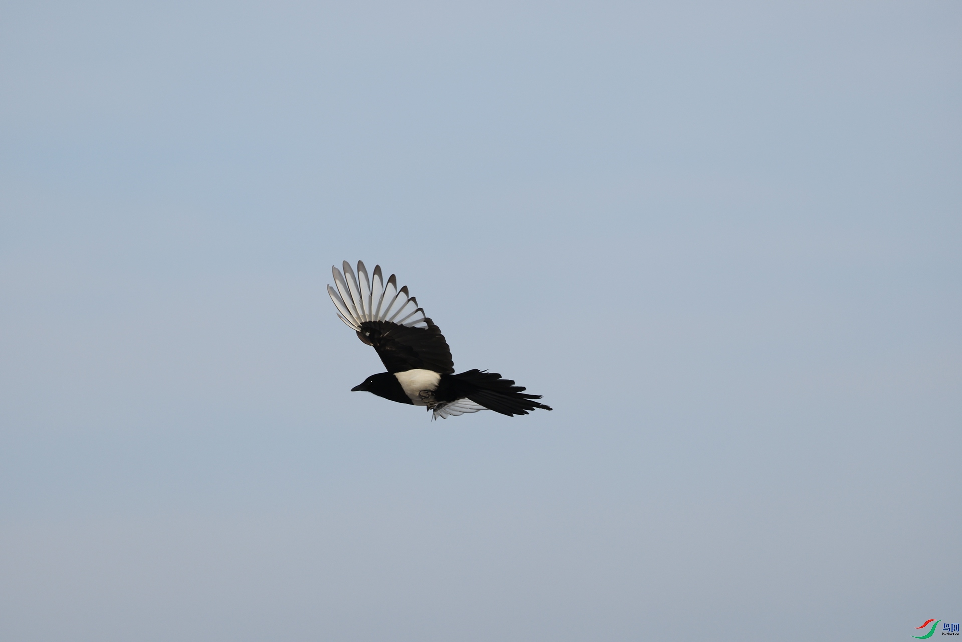 3Q6A6557.JPG