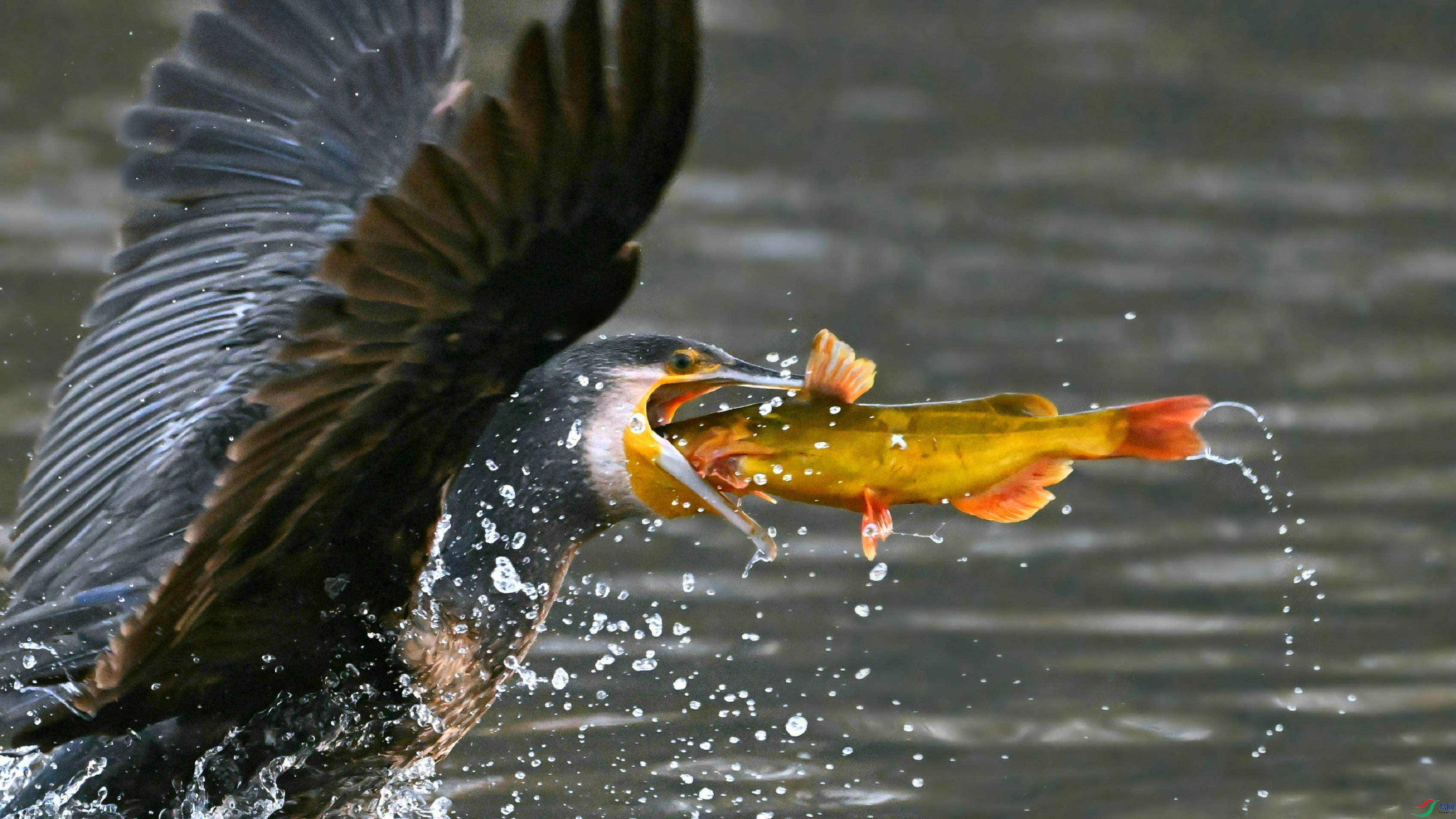 DSC_3047.JPG