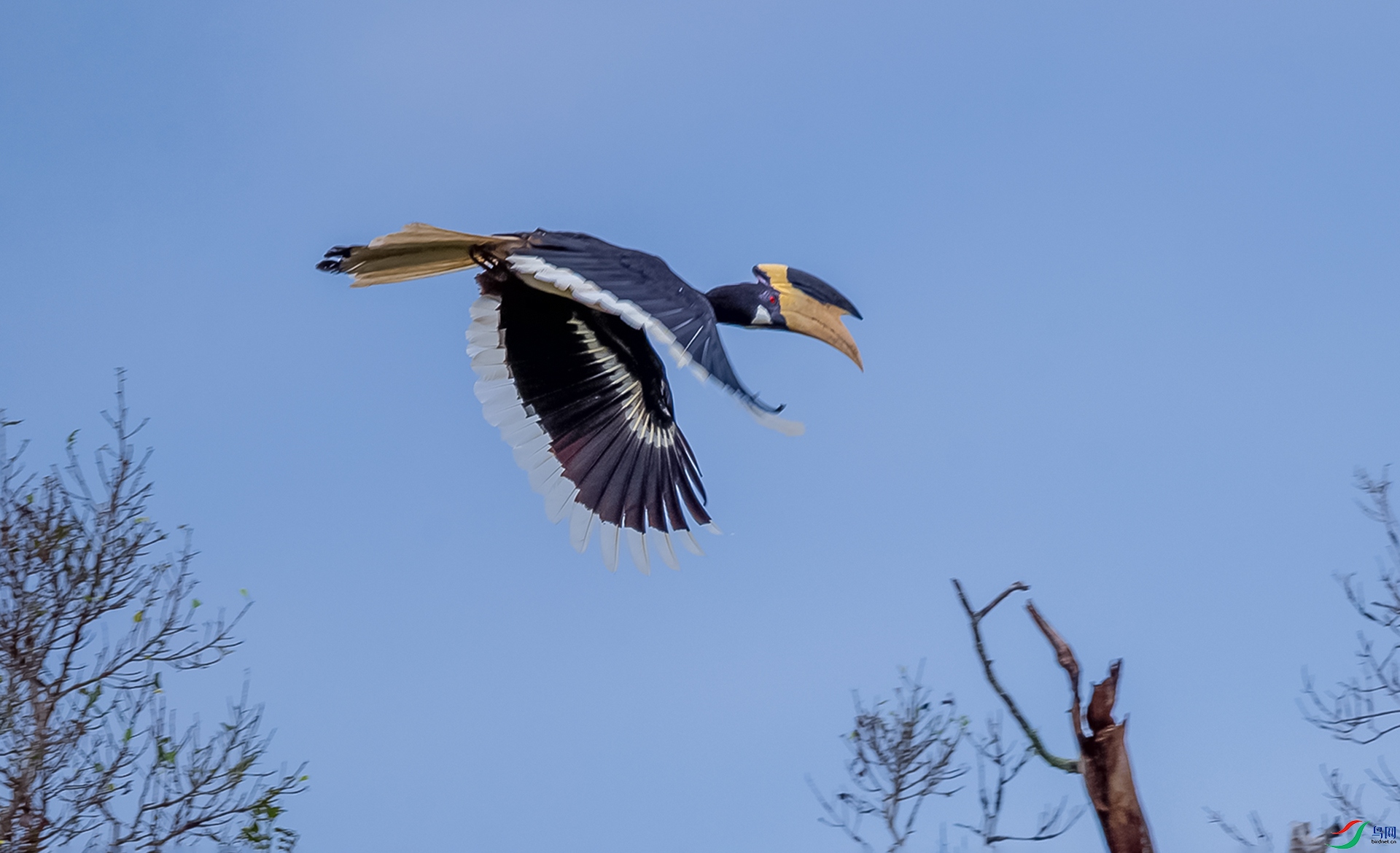 AK8I9573  �ڰ�Ϭ�� 02.jpg