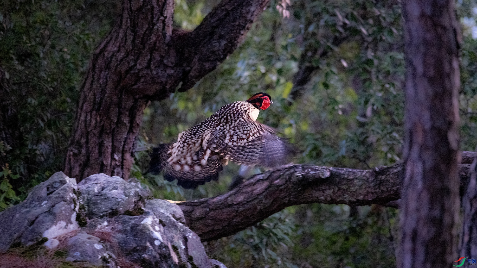 _DSC0432 ����.jpg