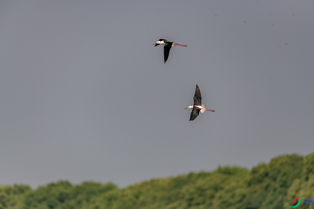 DSC_5691.jpg