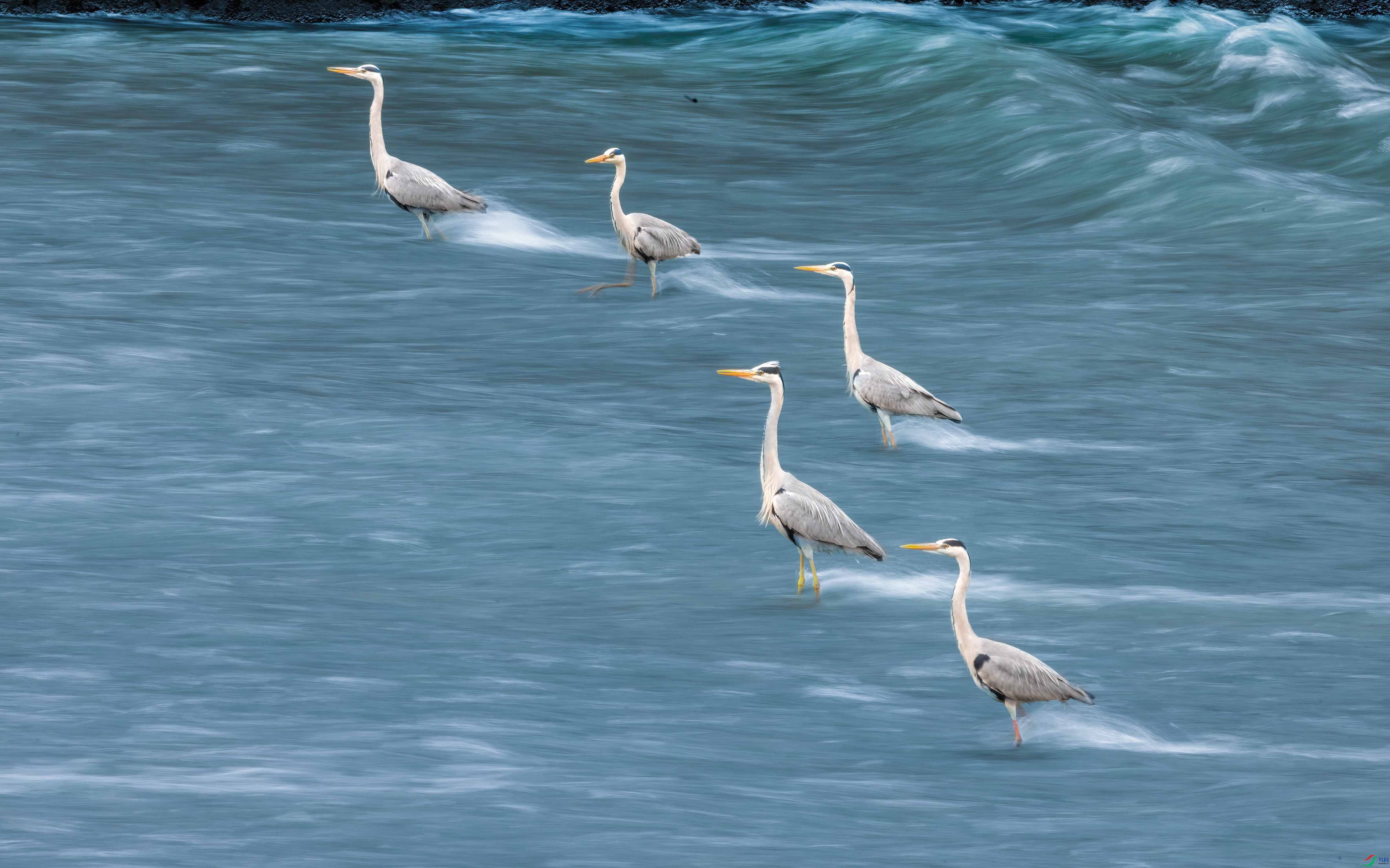 5Q7A3376-DeNoiseAI-standard.jpg
