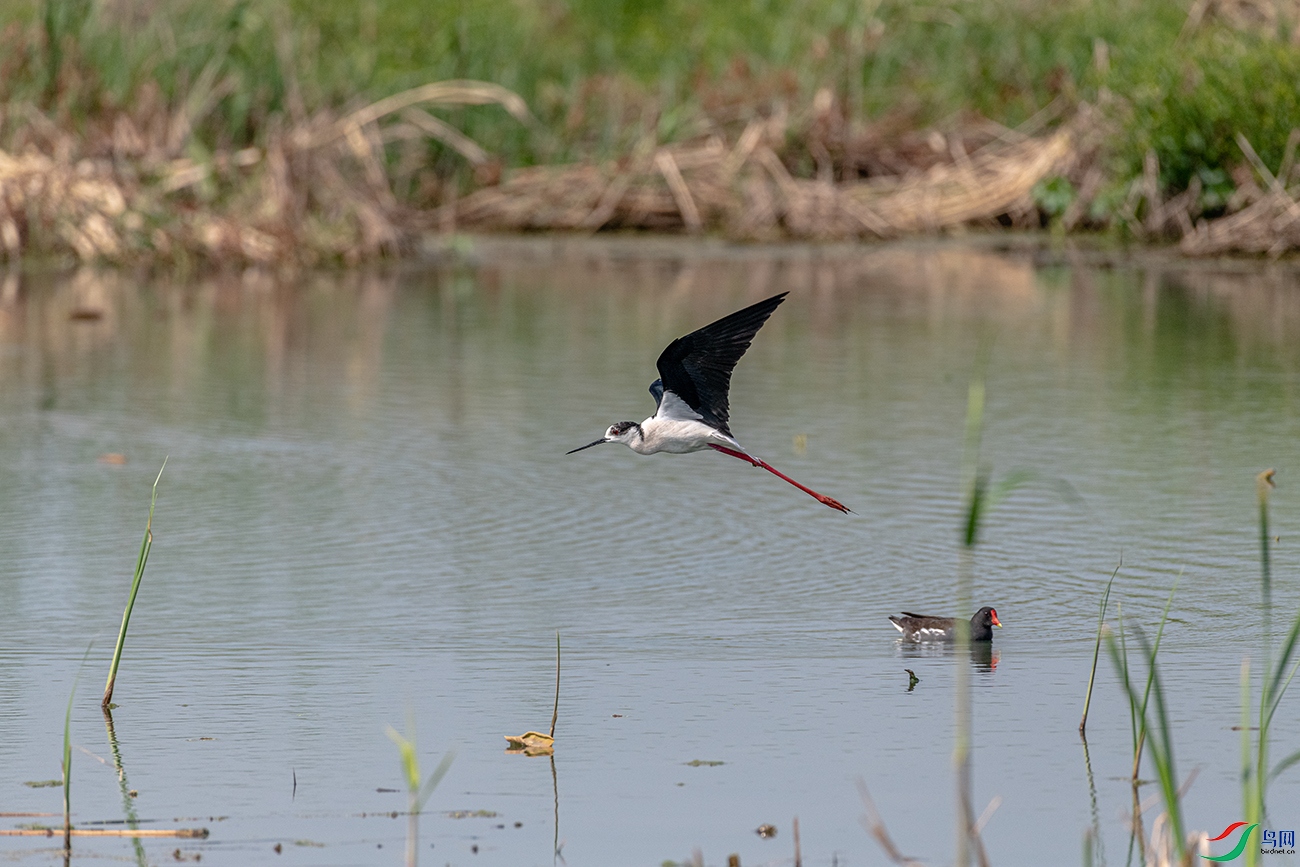 DSC_6278.jpg