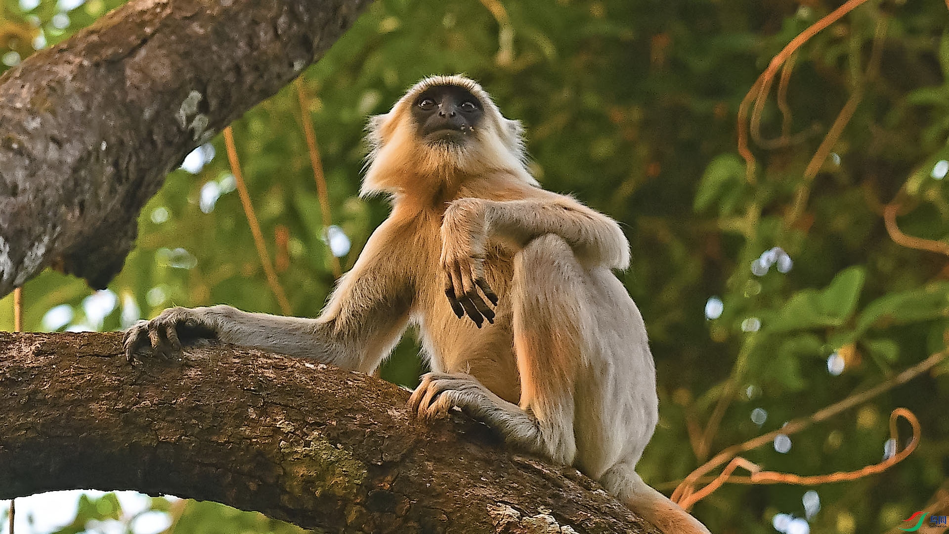 DSC_9537 ����.jpg