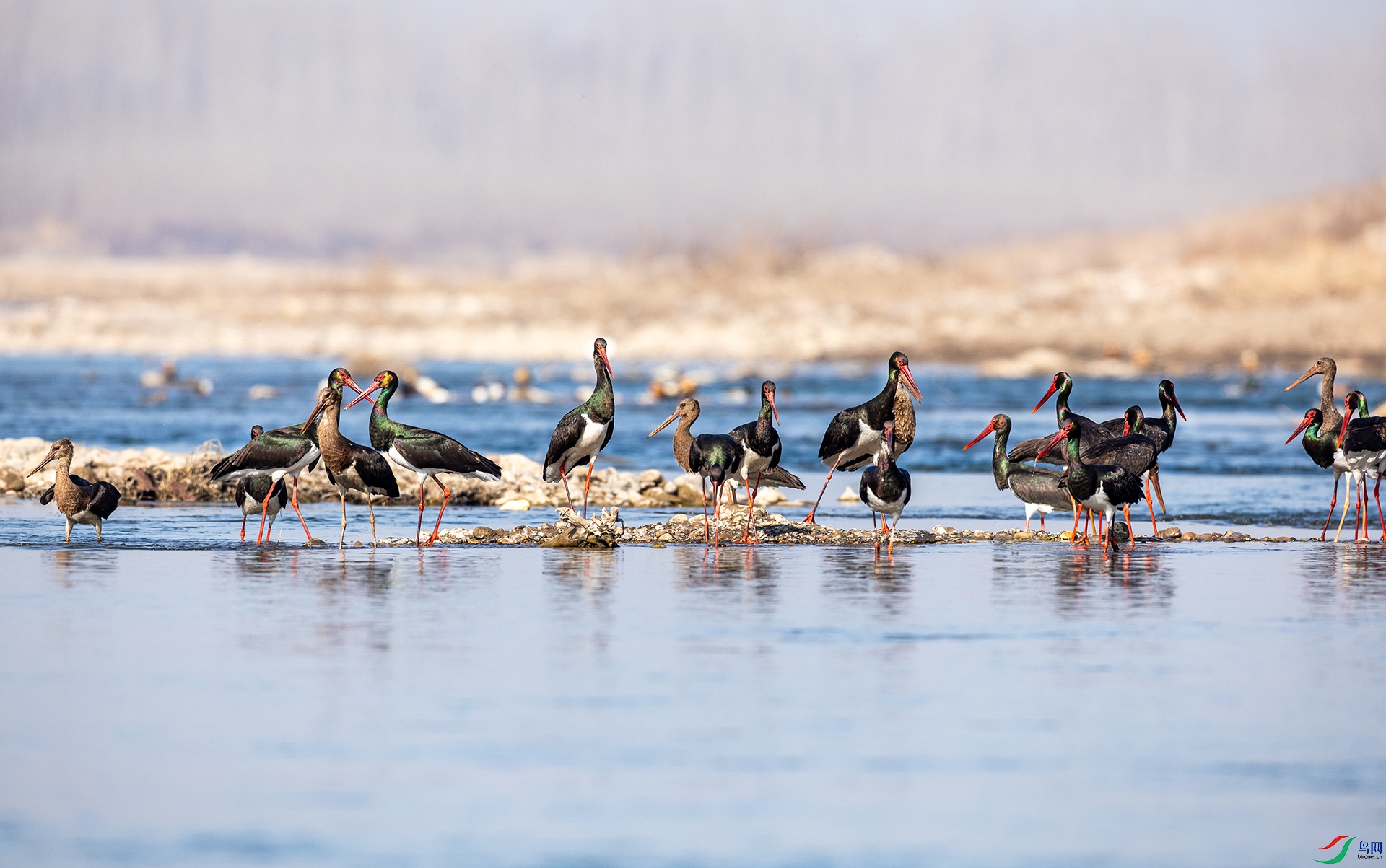 066A1457 ����.jpg