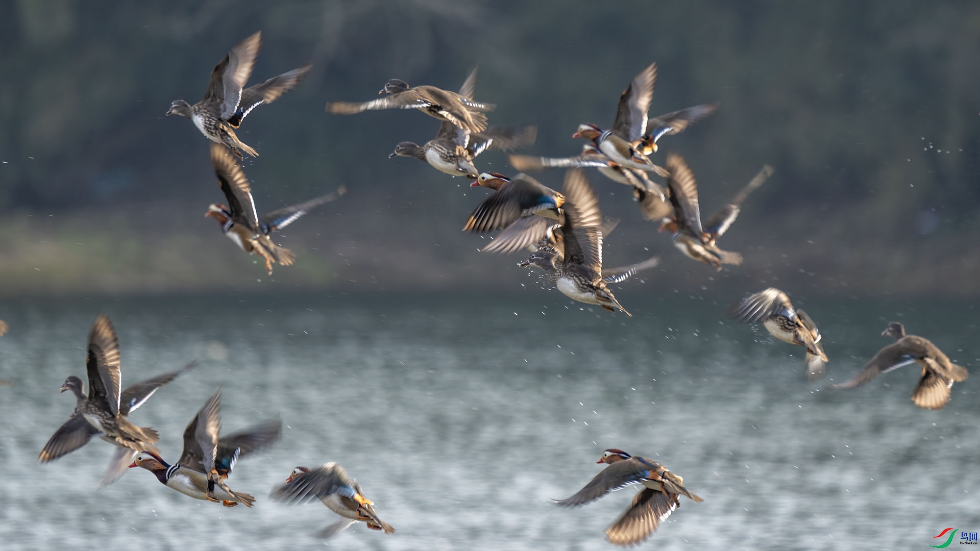 DSC02427 ����.jpg