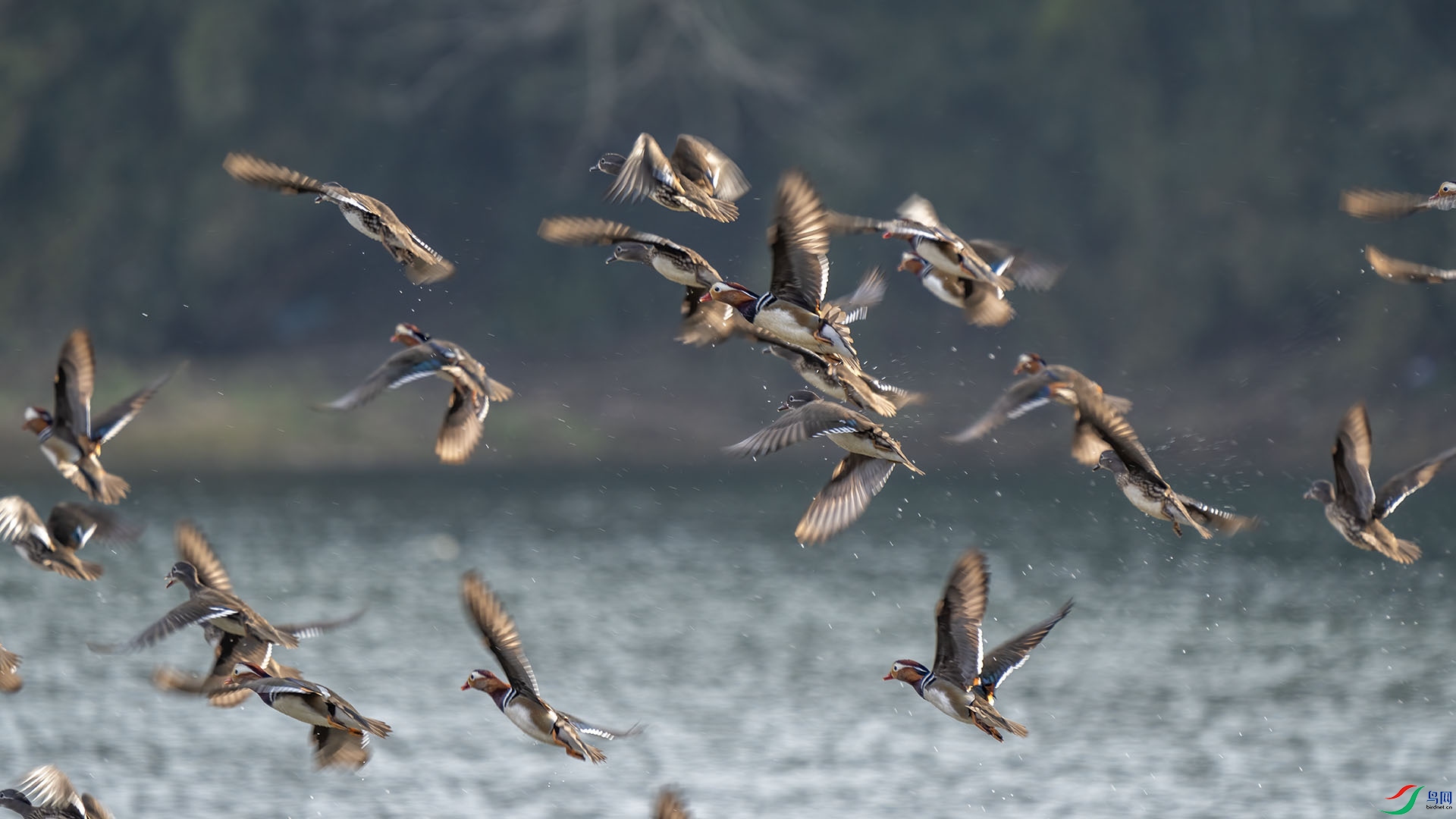 DSC02428 ����.jpg