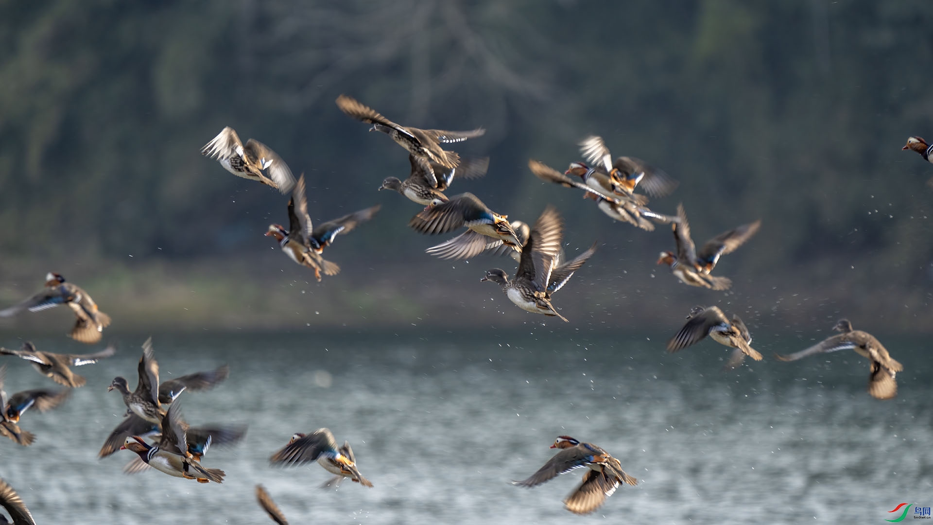 DSC02429 ����.jpg