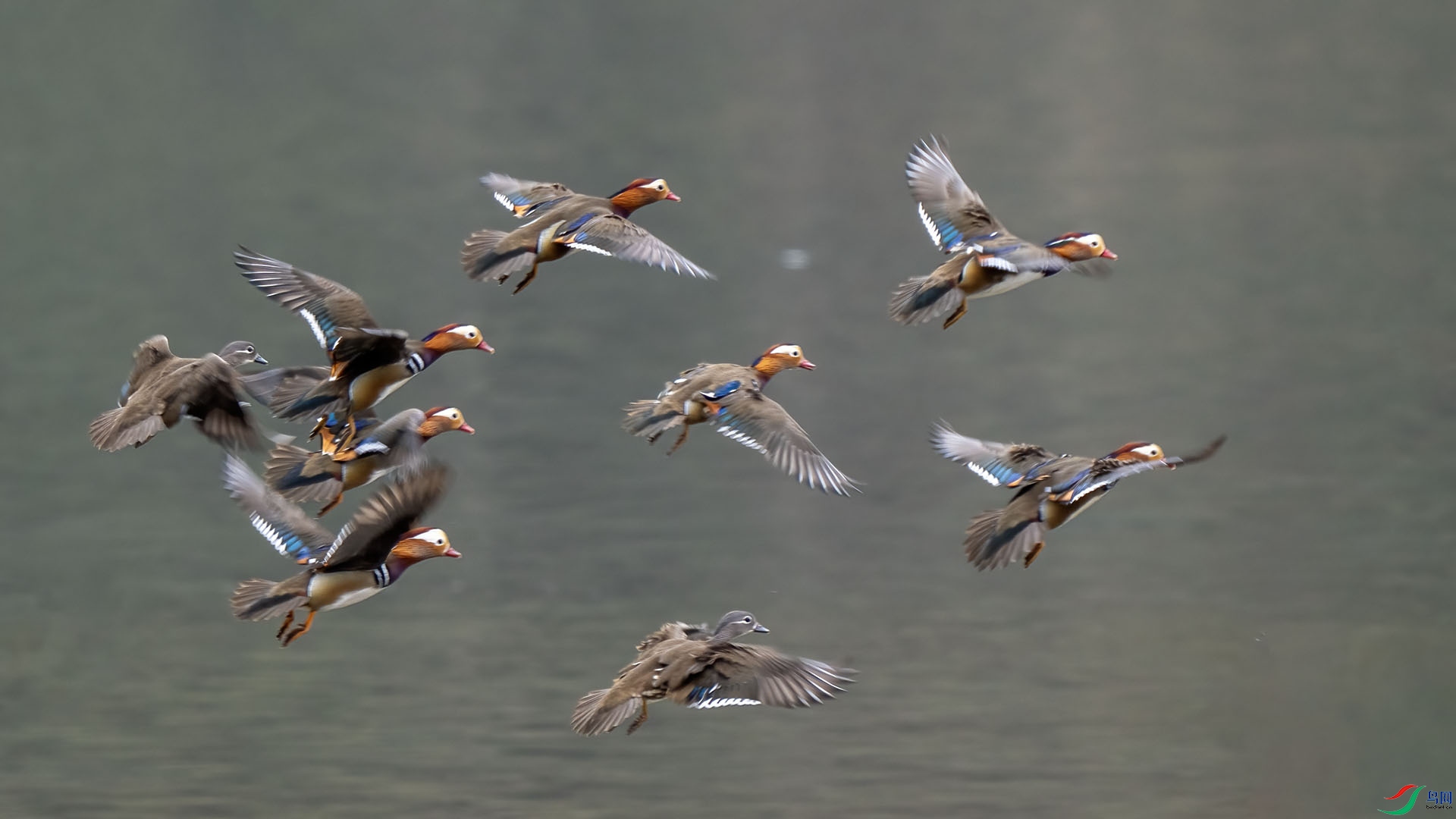 DSC04991 ����.jpg