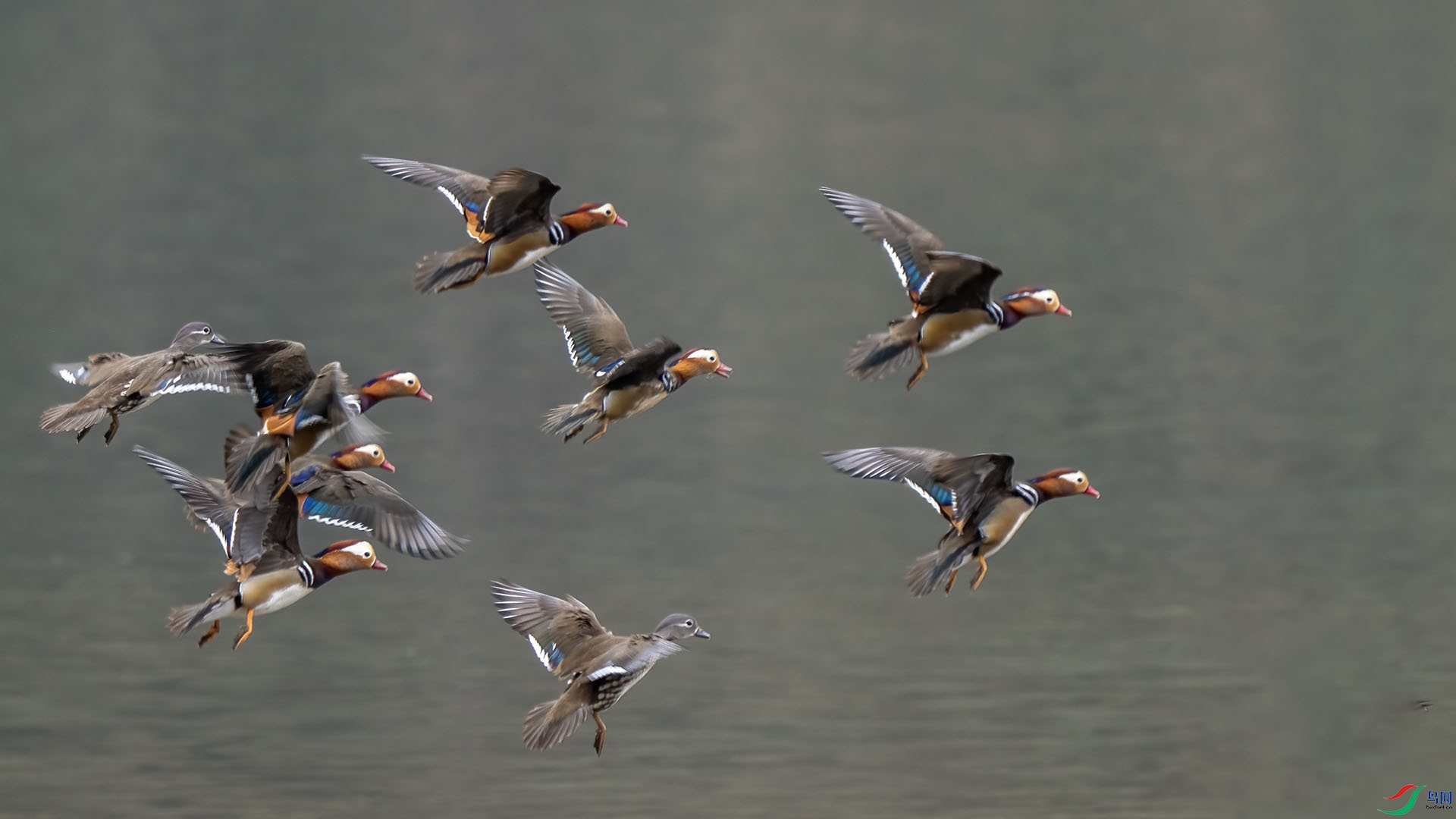 DSC04993 ����.jpg